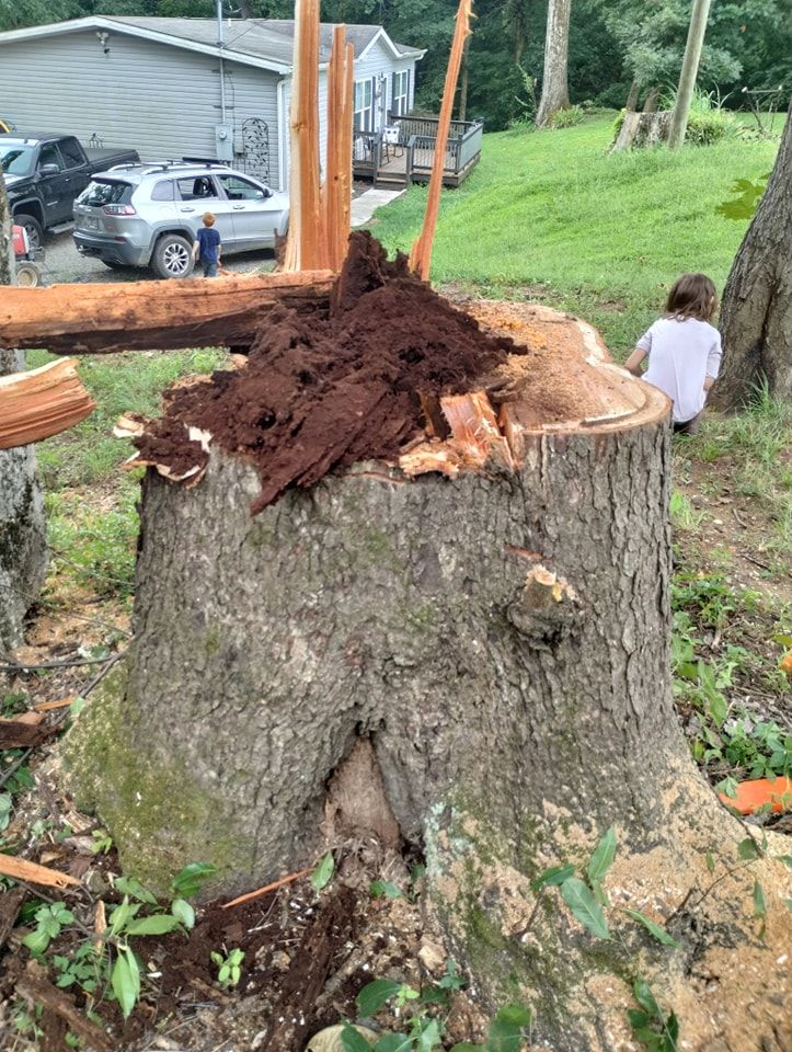  for Wade's Family Tree Service in Townsend, TN