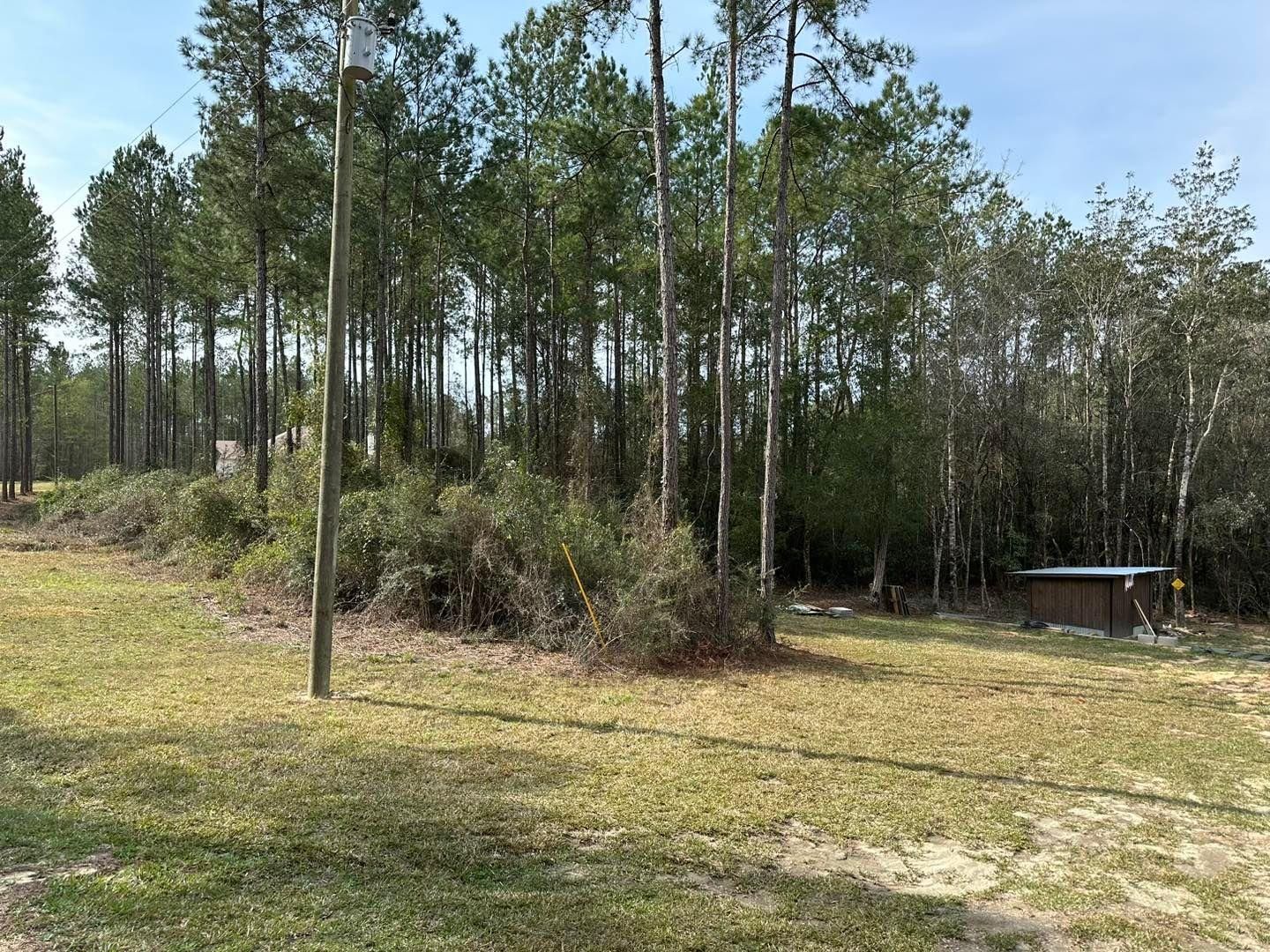 All Photos for White’s Land Maintenance in Milton,, FL