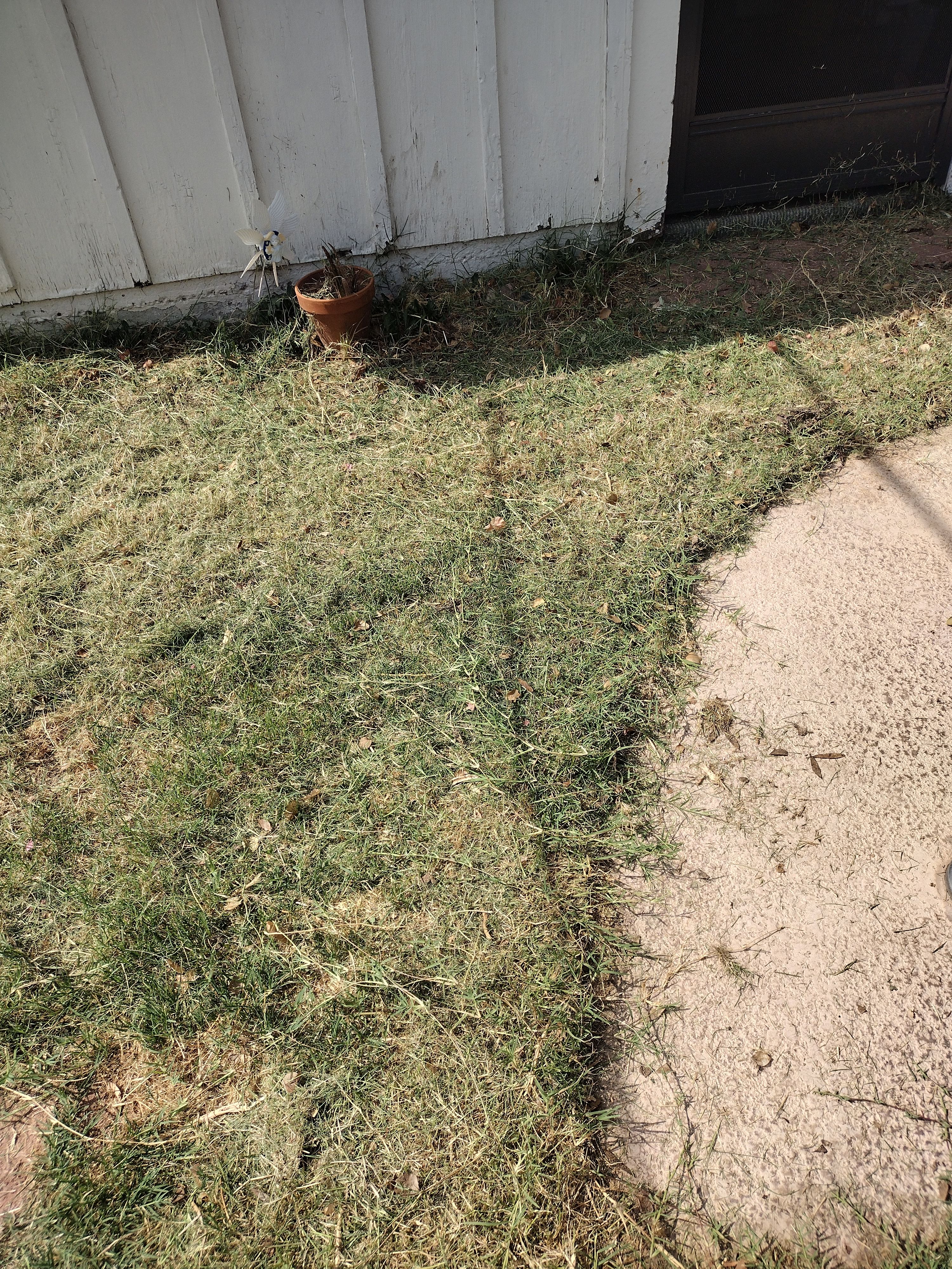  for Smooth Lawn Service in Mesa, AZ