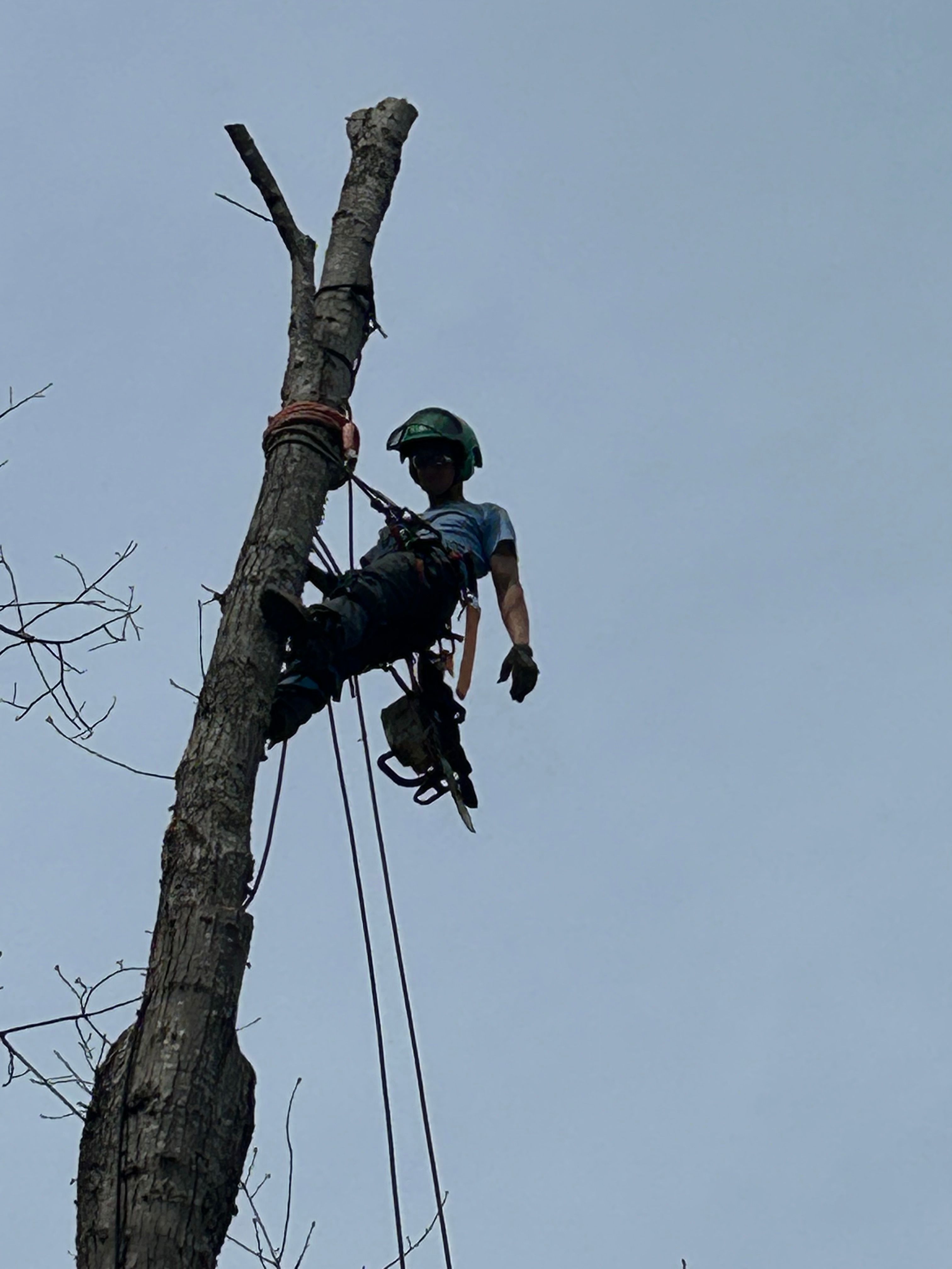 All Photos for VA Landgrowth LLC in Lexington, VA