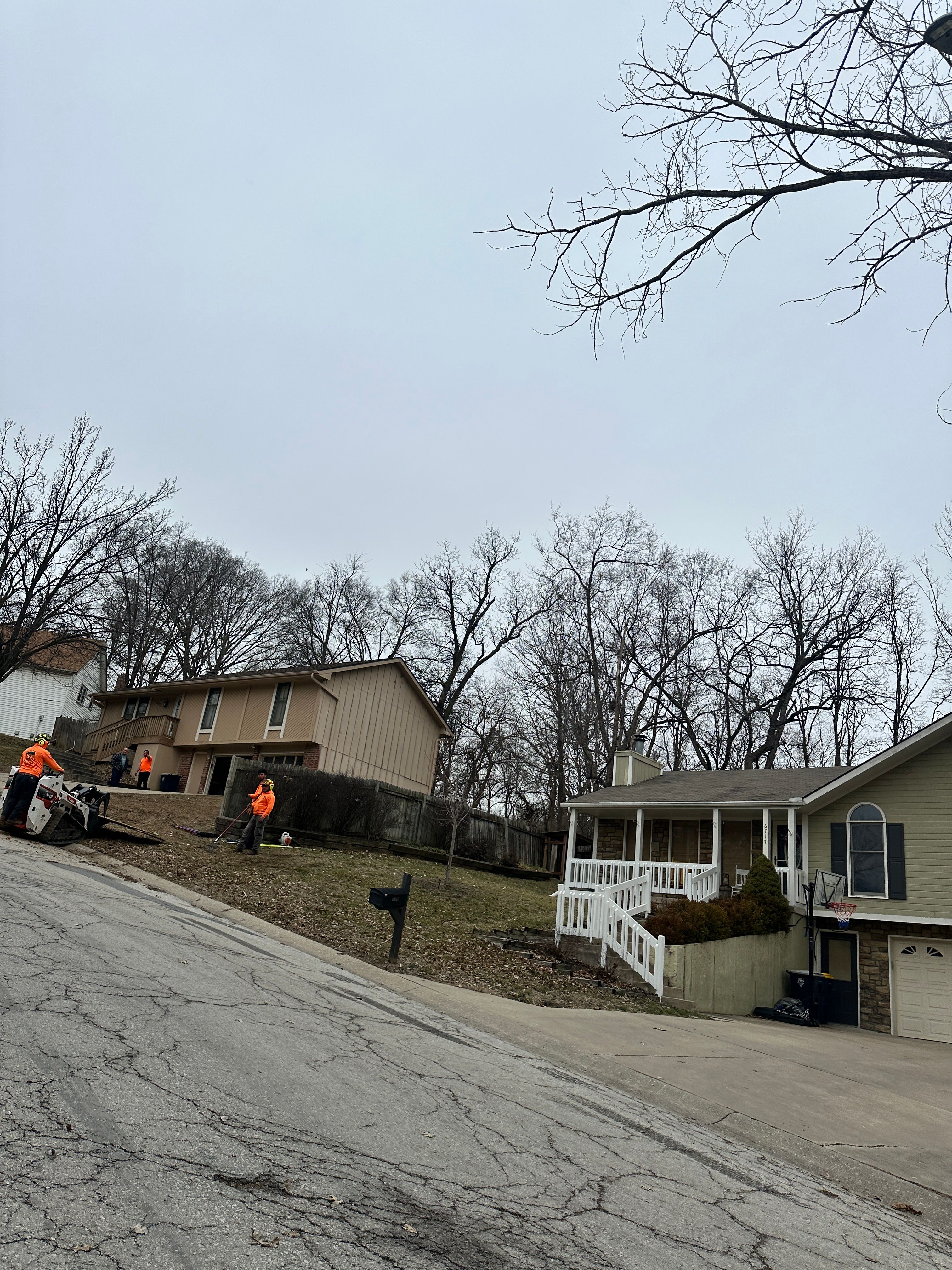 All Photos for Cross Family Tree Service in Kearney, MO