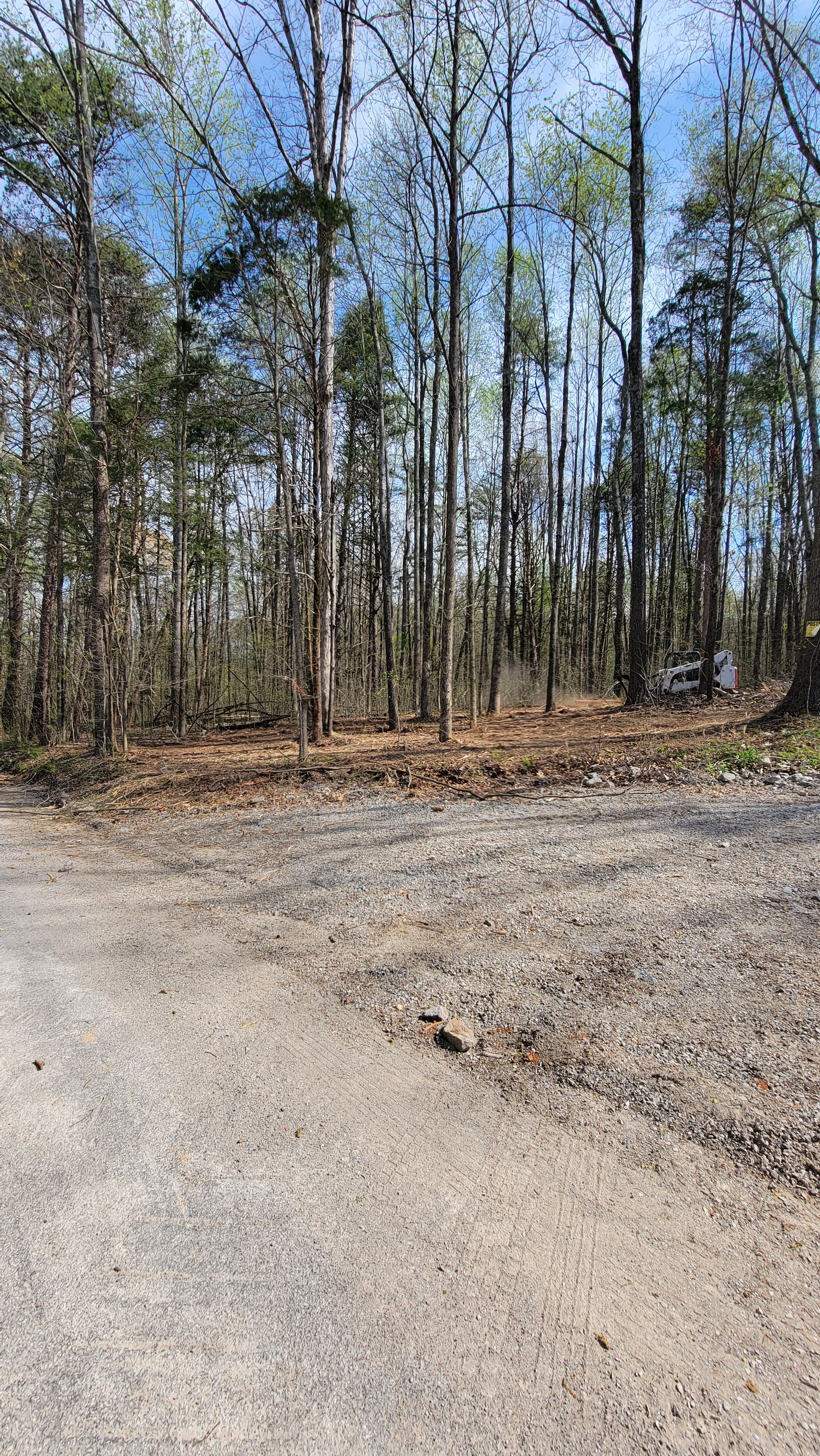  for Z's Land Management & Forestry Mulching in Smithville, TN