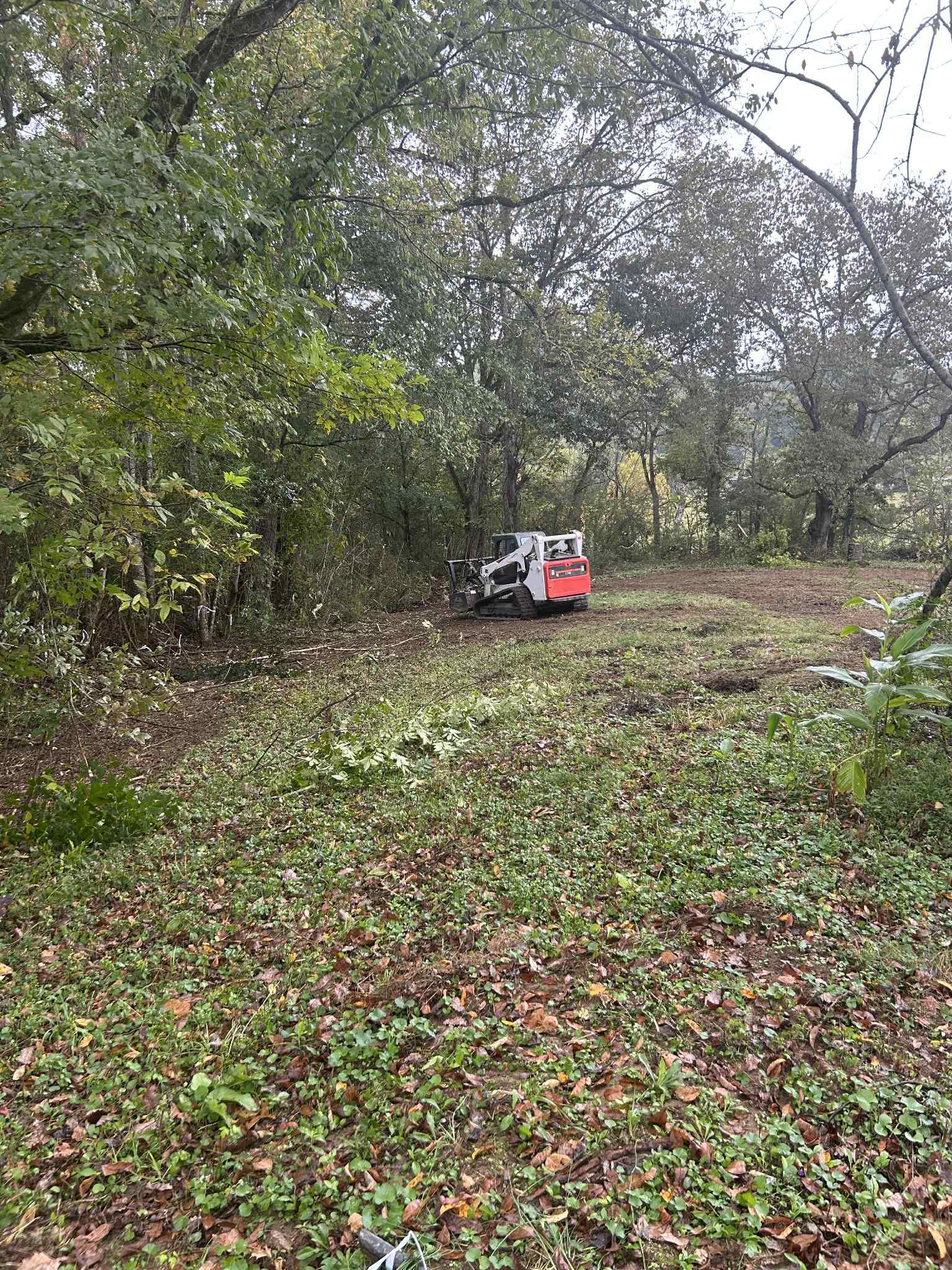  for Z's Land Management & Forestry Mulching in Smithville, TN