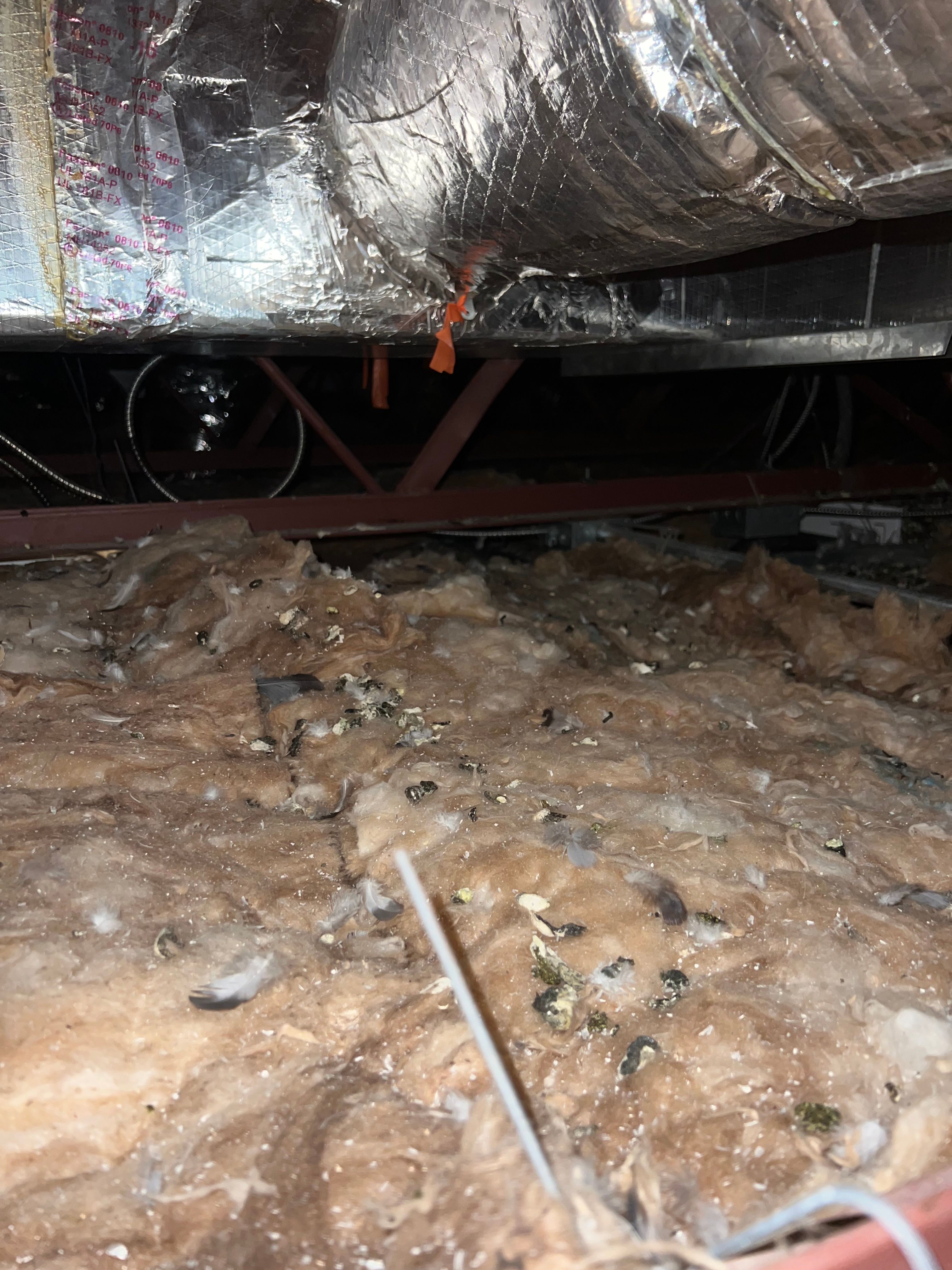  for N&D Restoration Services When Disaster Strikes, We Come In in Cape Coral,  FL