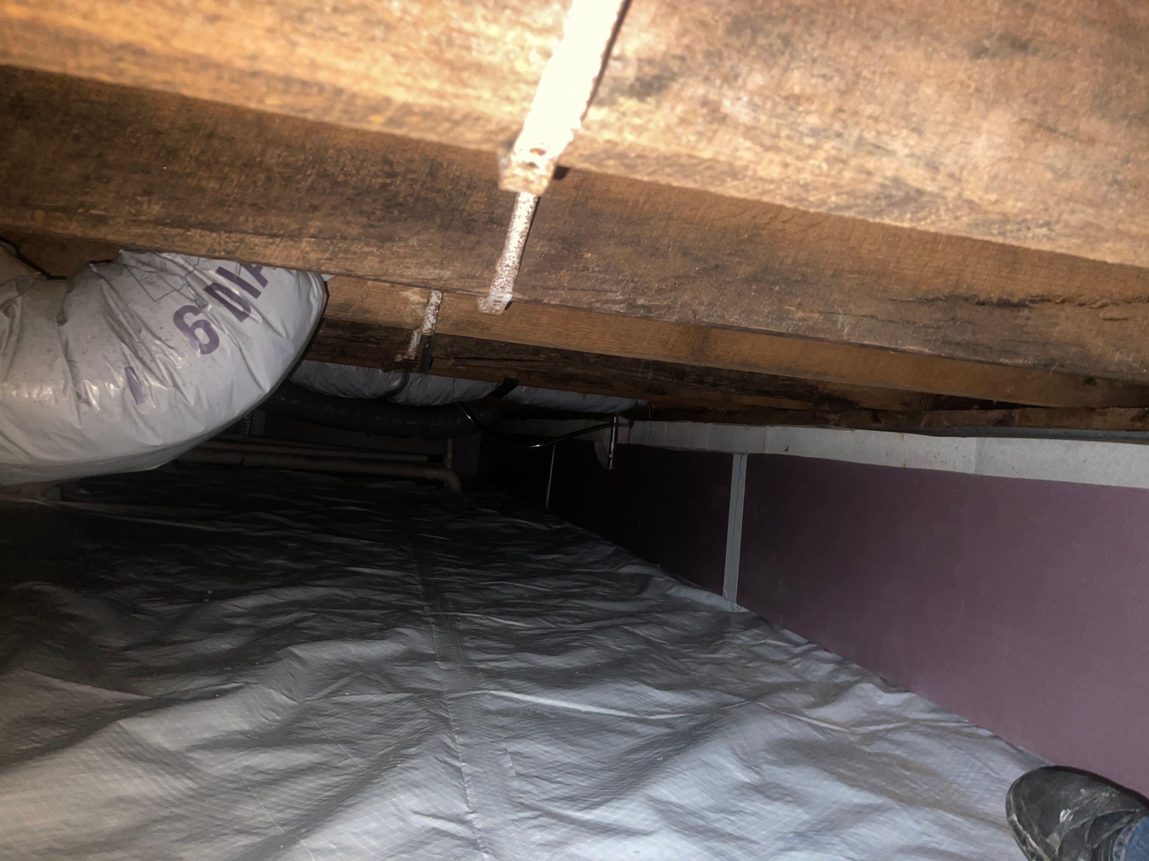  for All-In Pest Control & Home Solutions in Greene County, IN