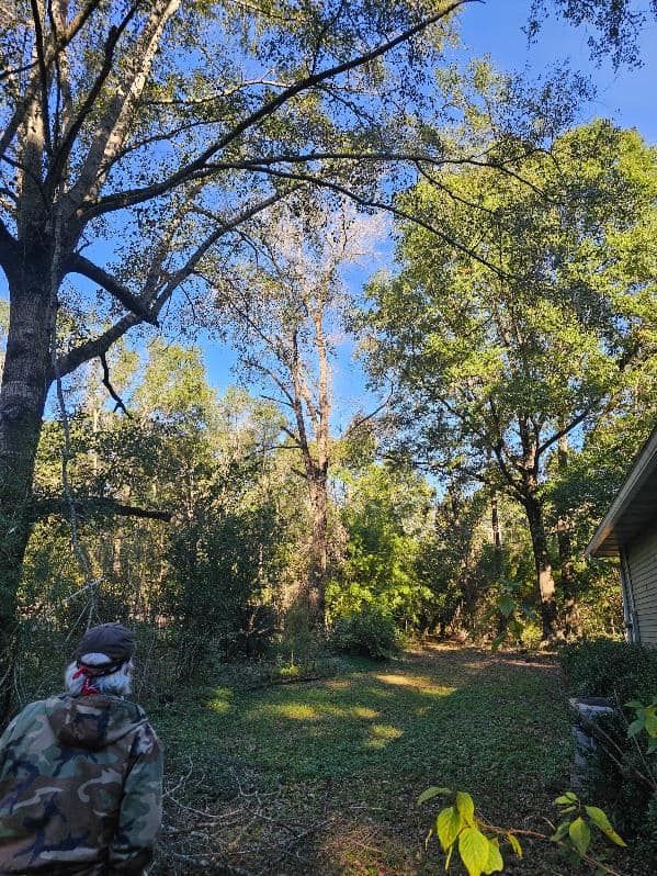  for Oklahoma Tree Guy in Bartlesville, OK