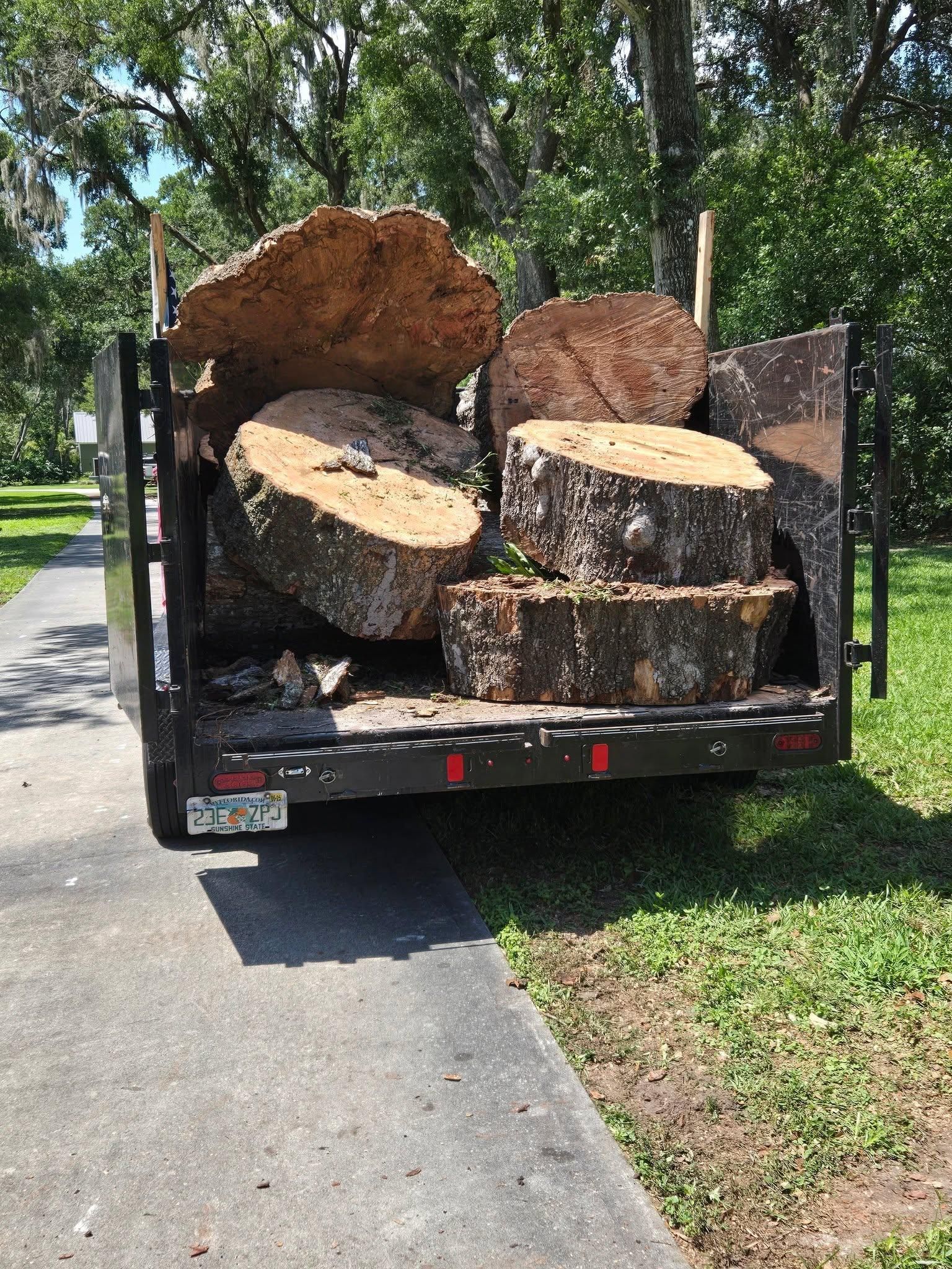 All Photos for TREE BOYS in Ruskin, FL