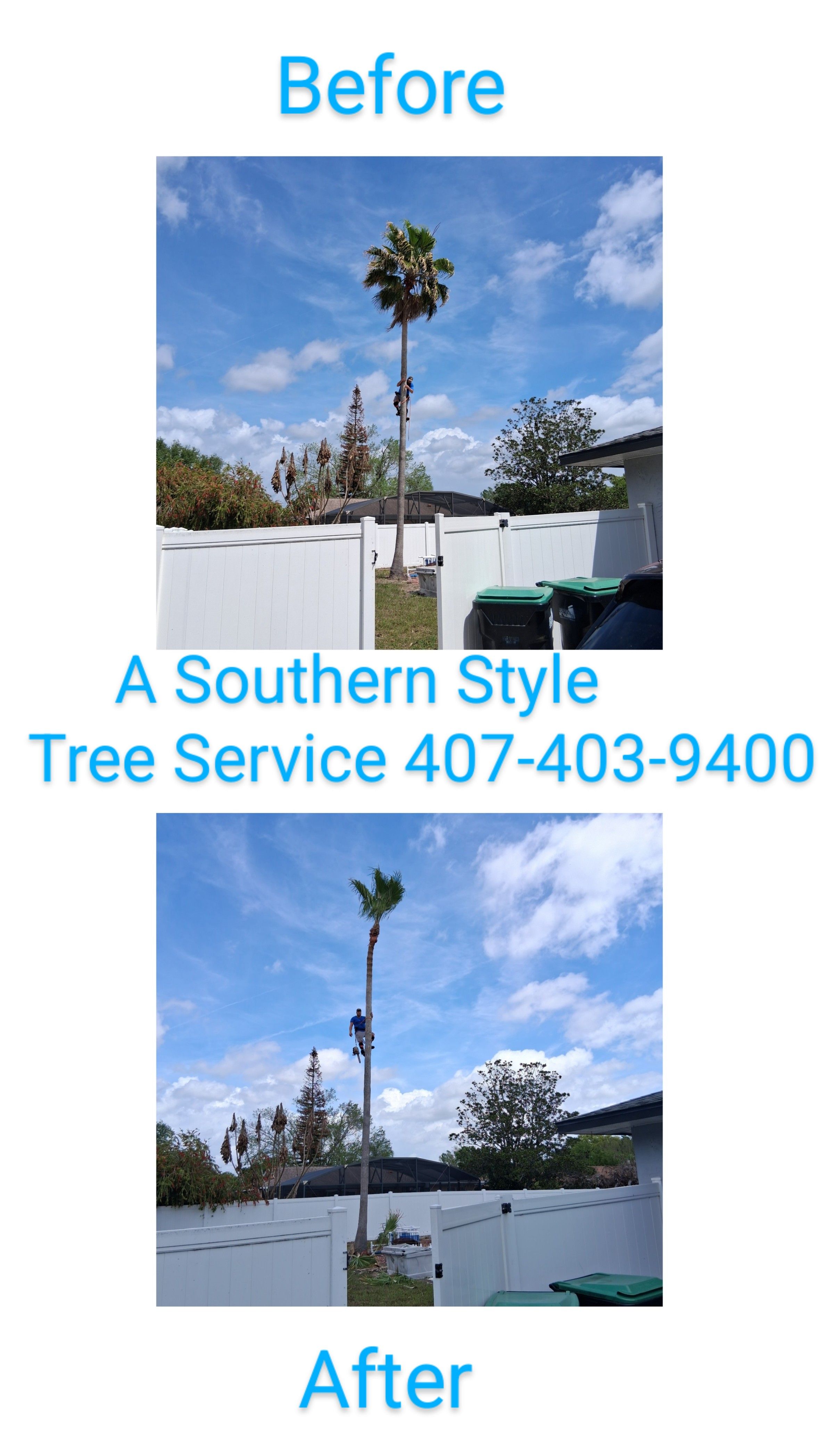  for A Southern Style Tree Service in Orlando, FL
