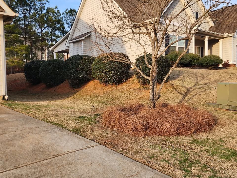  for Reg's Lawn Care Services in LaGrange, GA