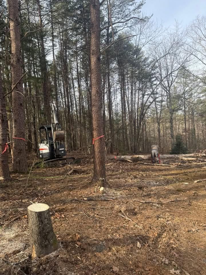  for Chiles Lawn & Landscaping in Gordonsville, VA