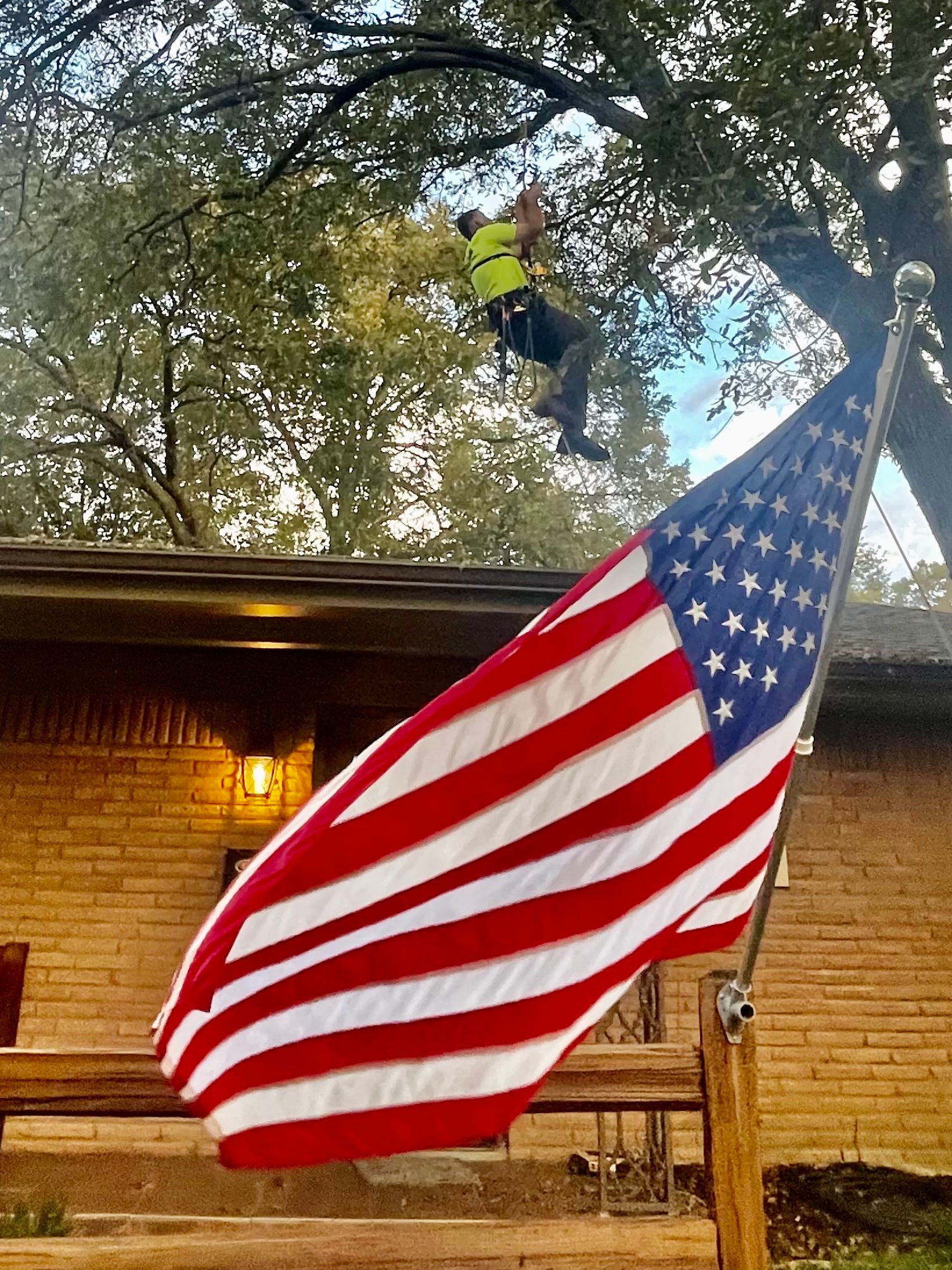  for TLC Professional Tree Service in Bedford, TX