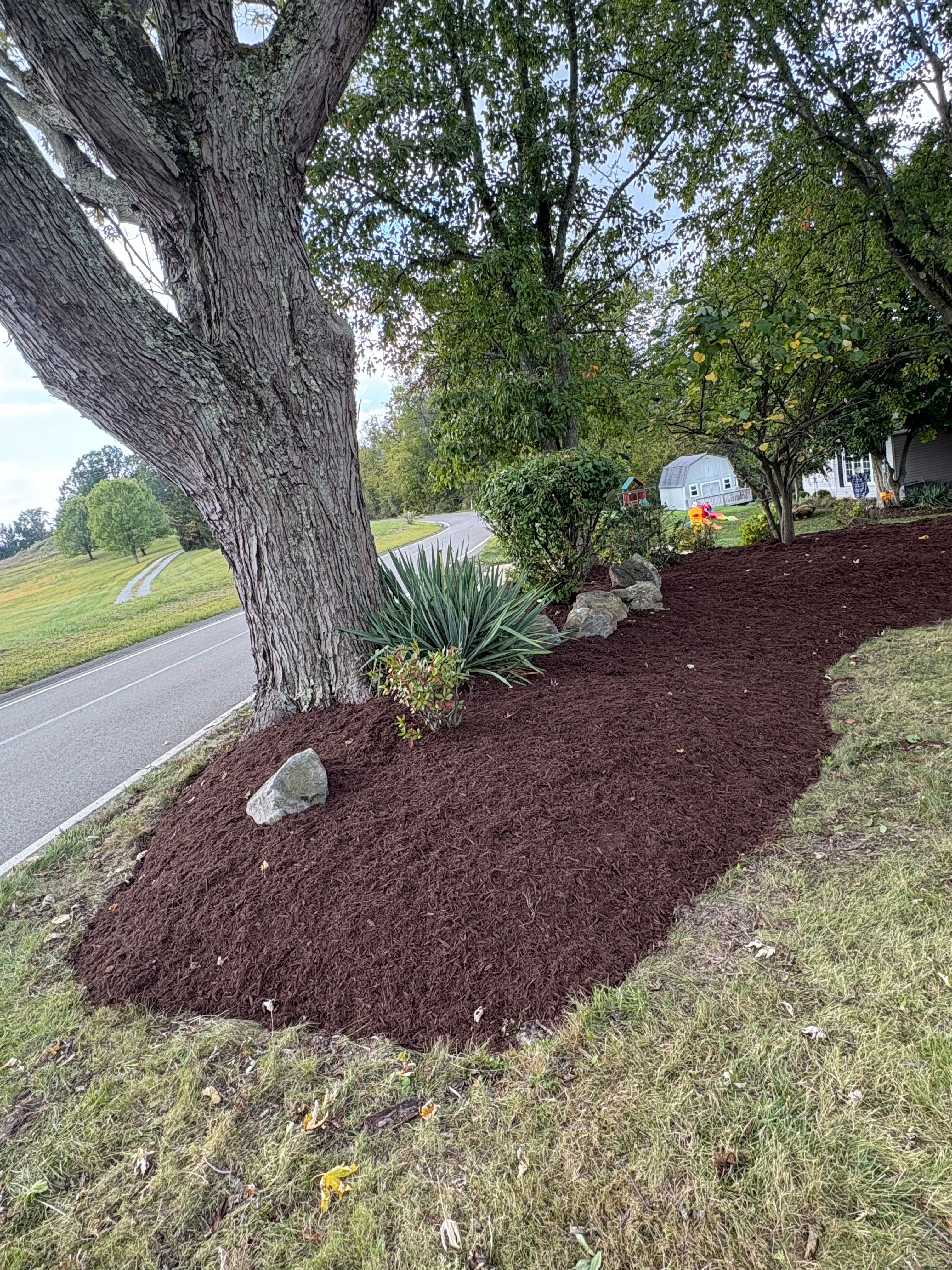  for Cam Yardz in Washington, PA