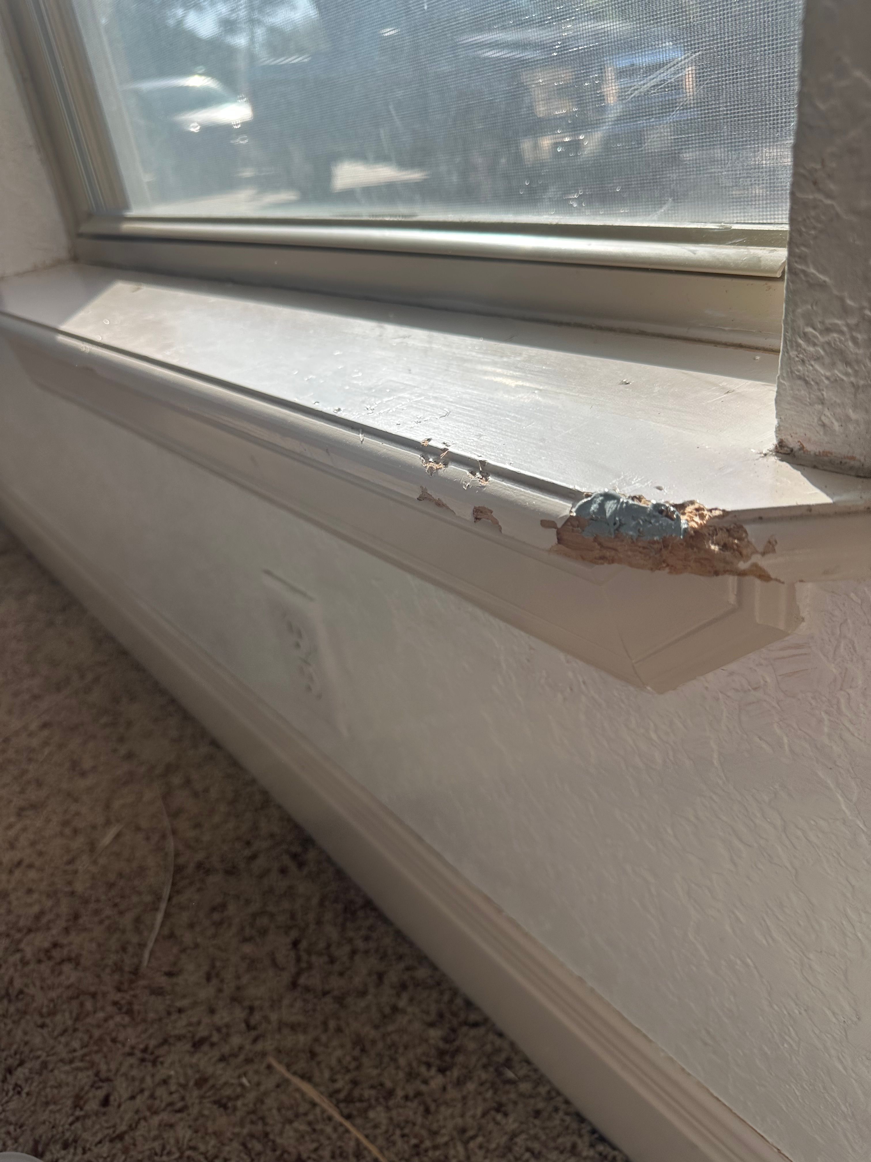  for GEOS Painting in New Braunfels, TX