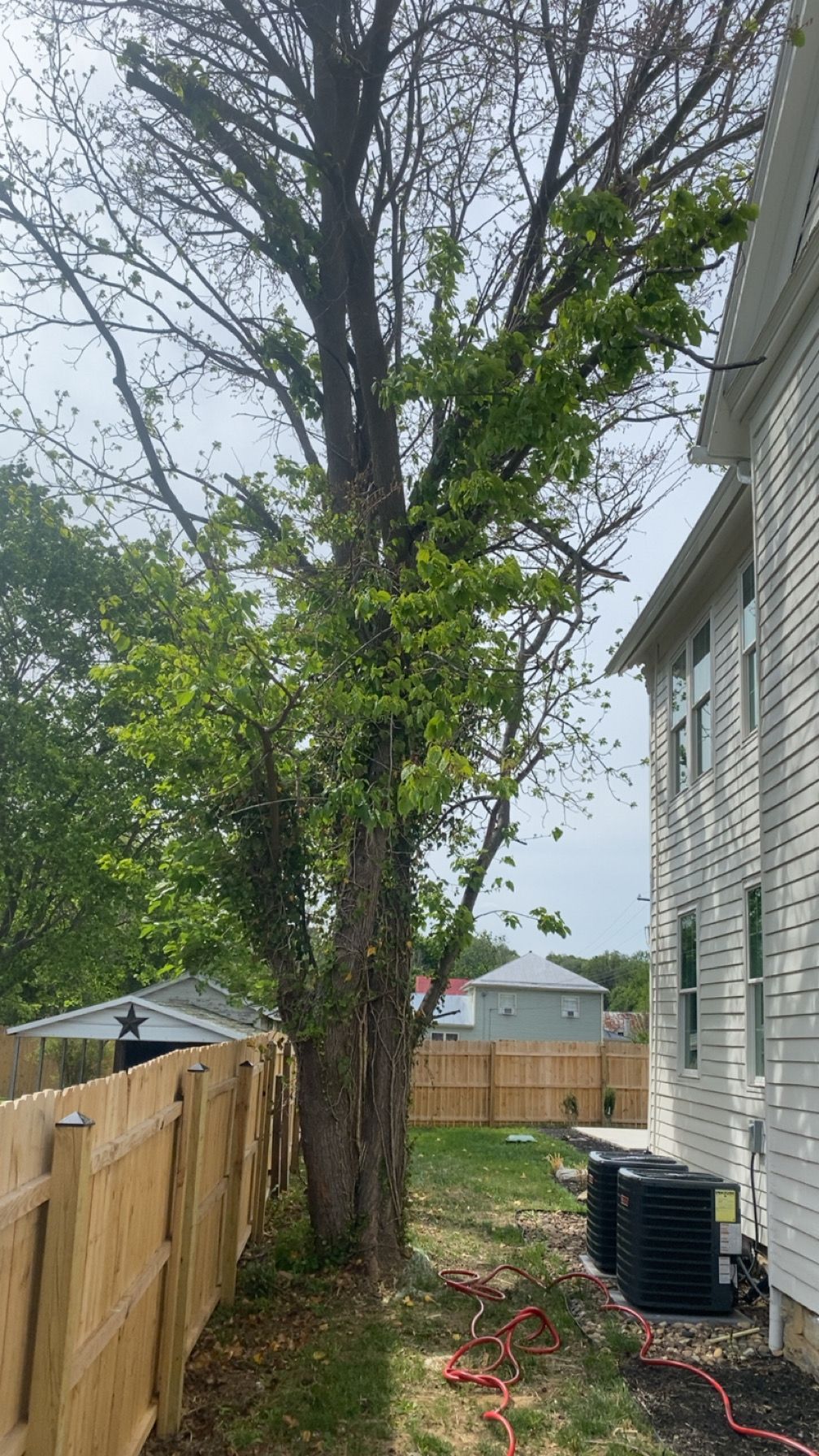 All Photos for Gray's Tree Service  in Shenandoah County, VA