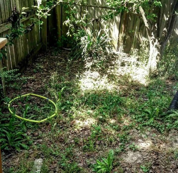  for Voilà Magic LawnCare Services in Jacksonville, NC