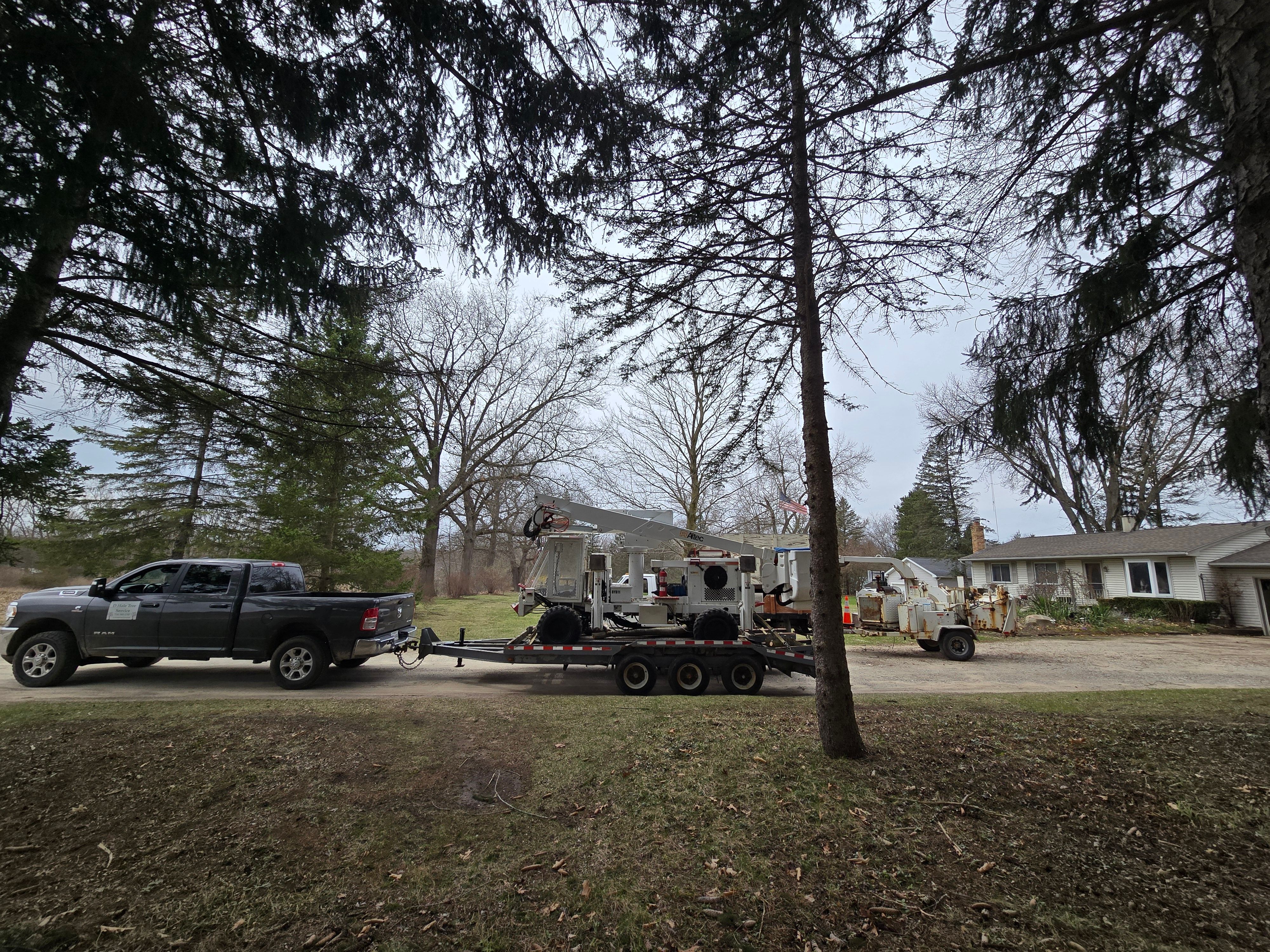  for D Hale Tree Service in Dexter, MI