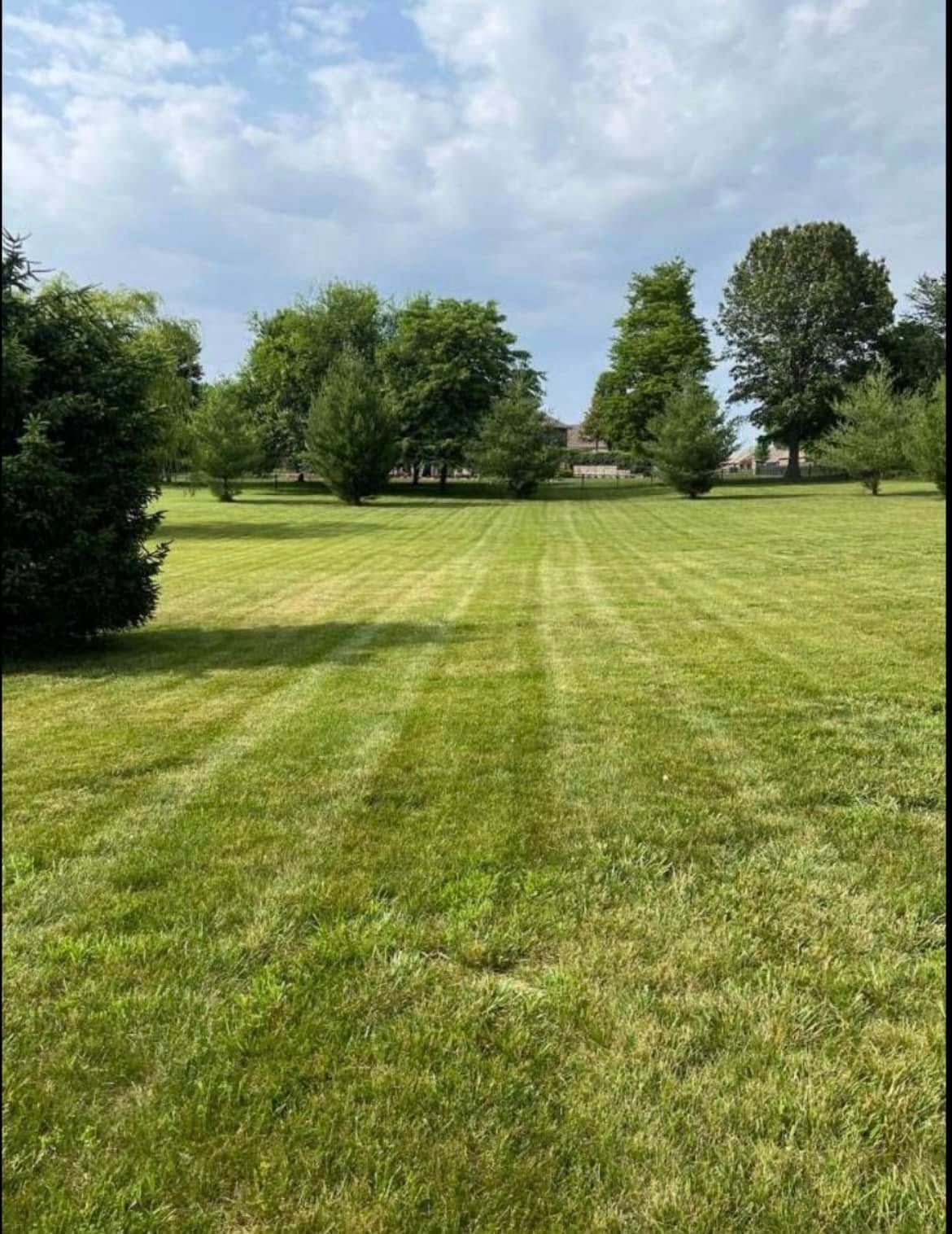 Lawn Care for Wright Lawn Services in Ozark, MO