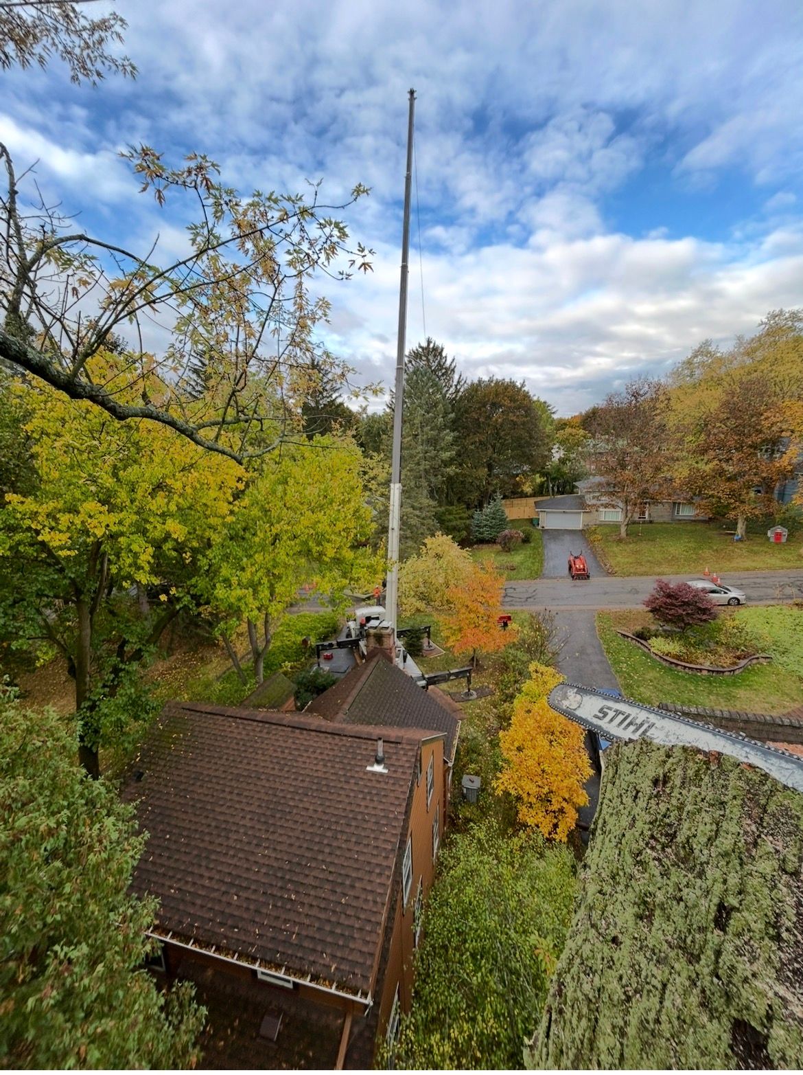  for S.H. Tree Service LLC in Hilton, NY