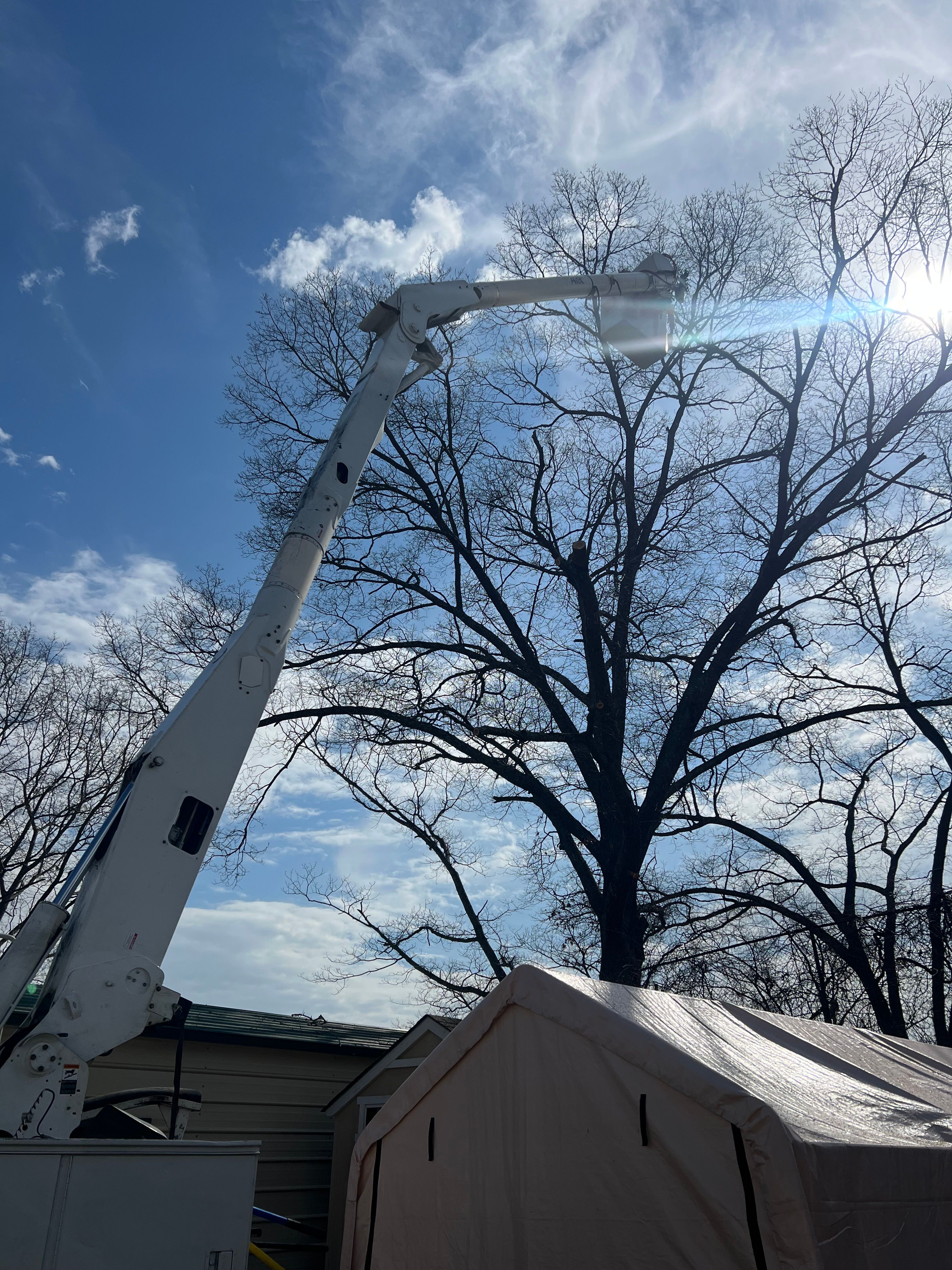  for Ground To Sky Tree Care in Asheville, North Carolina