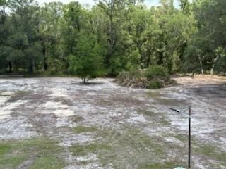  for All Seasons Tree and Land Works in Trenton, FL