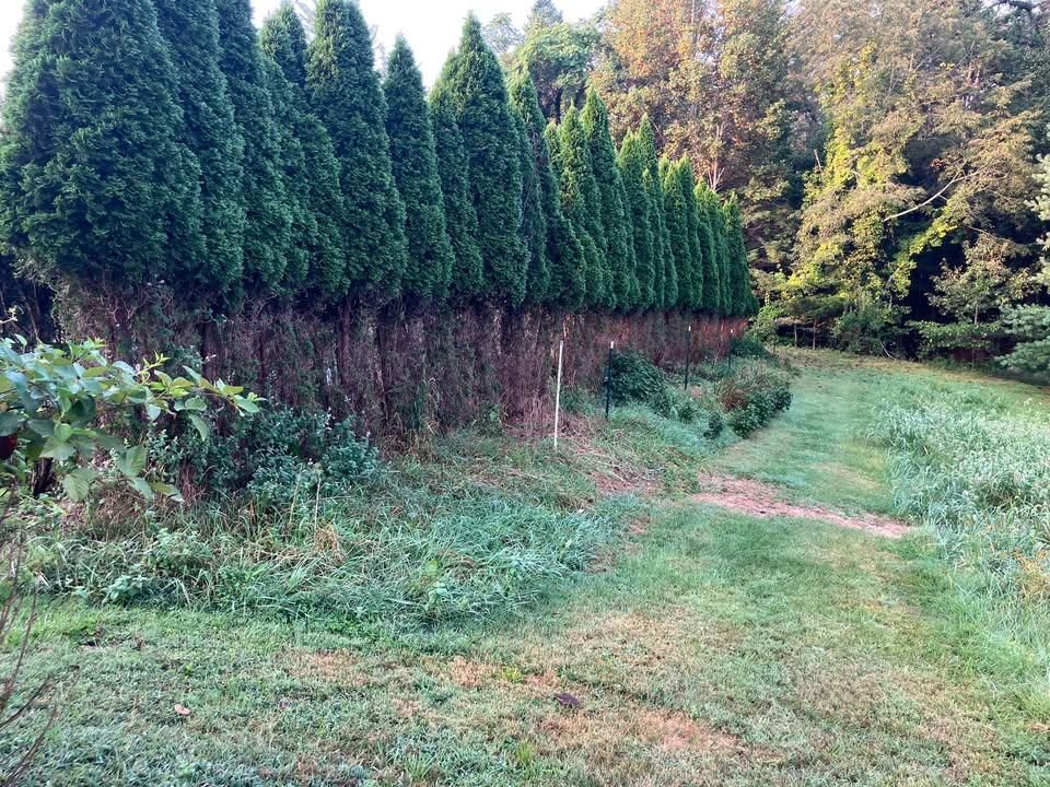  for 9999 Building and Renovation LLC in Warrenton, VA