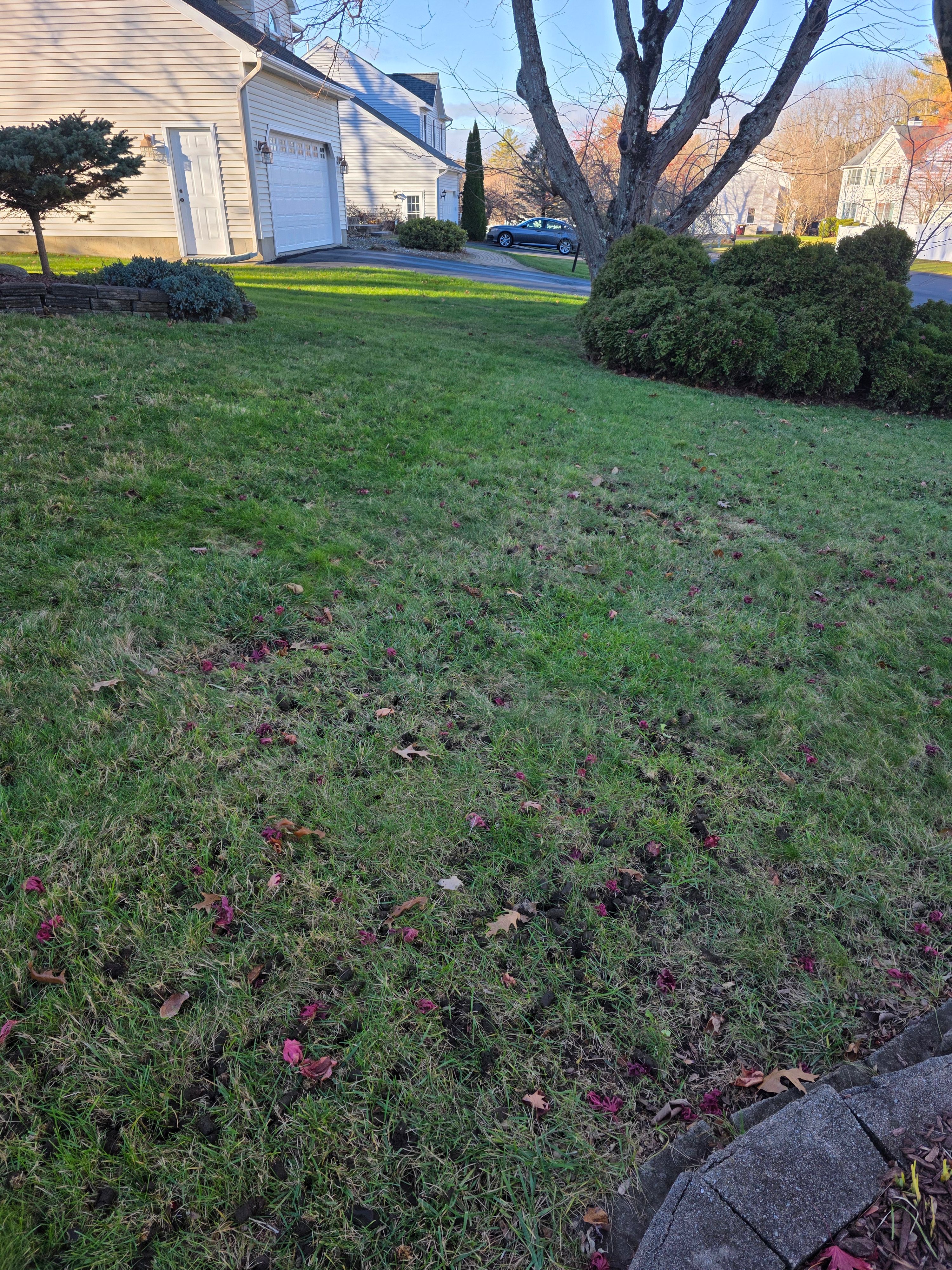  for Sweet Scapes in Ballston Spa, NY