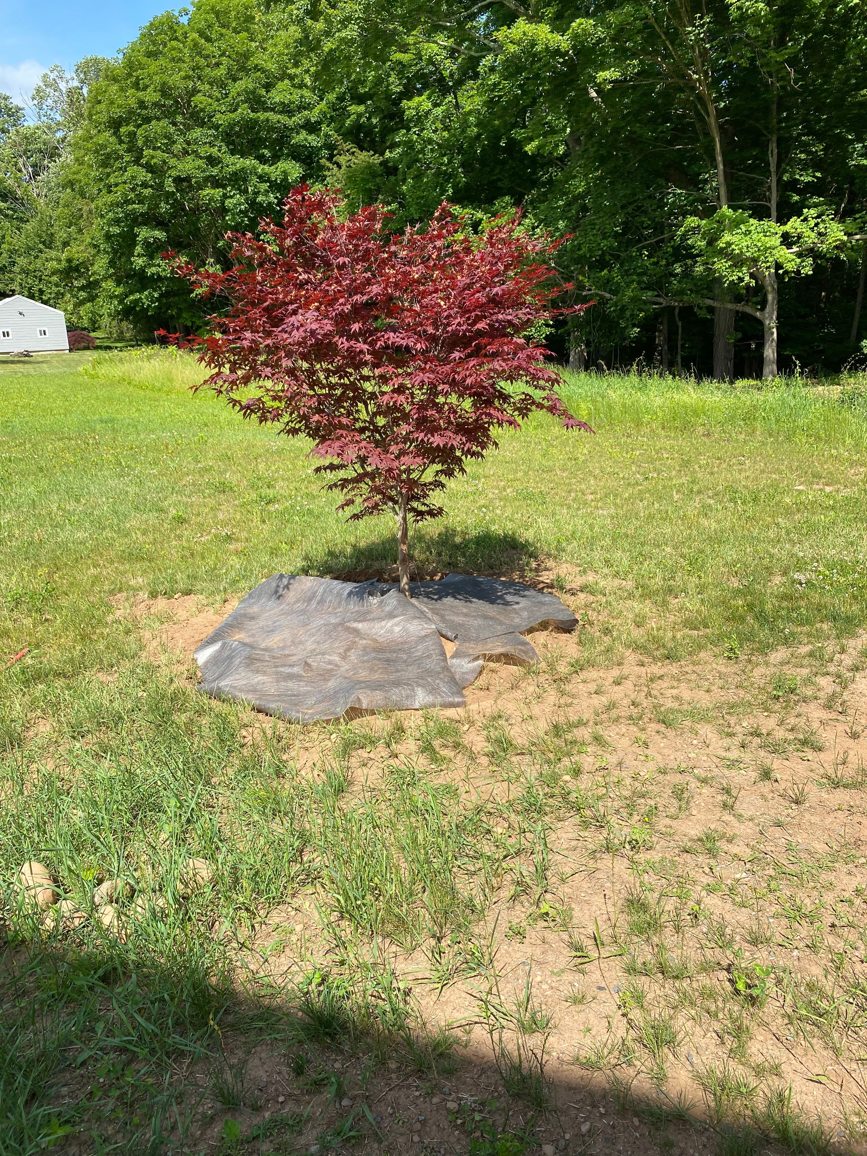  for Stevenson Property Maintenance in Cheshire, CT