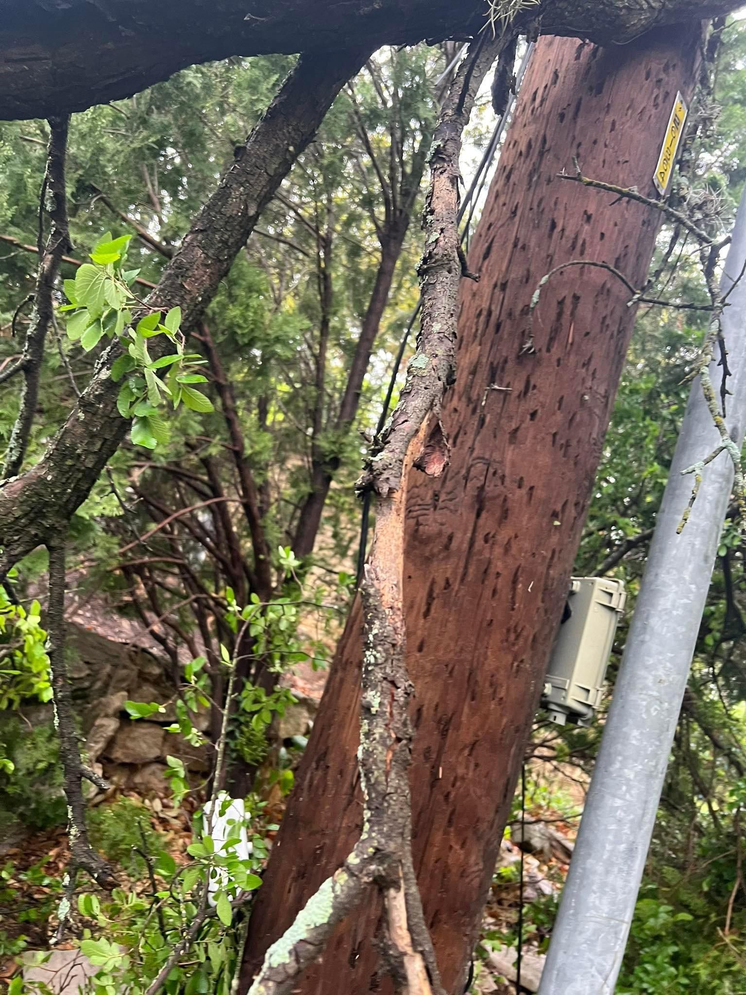 All Photos for Camerons Stump Grinding & Tree Services in Austin, TX