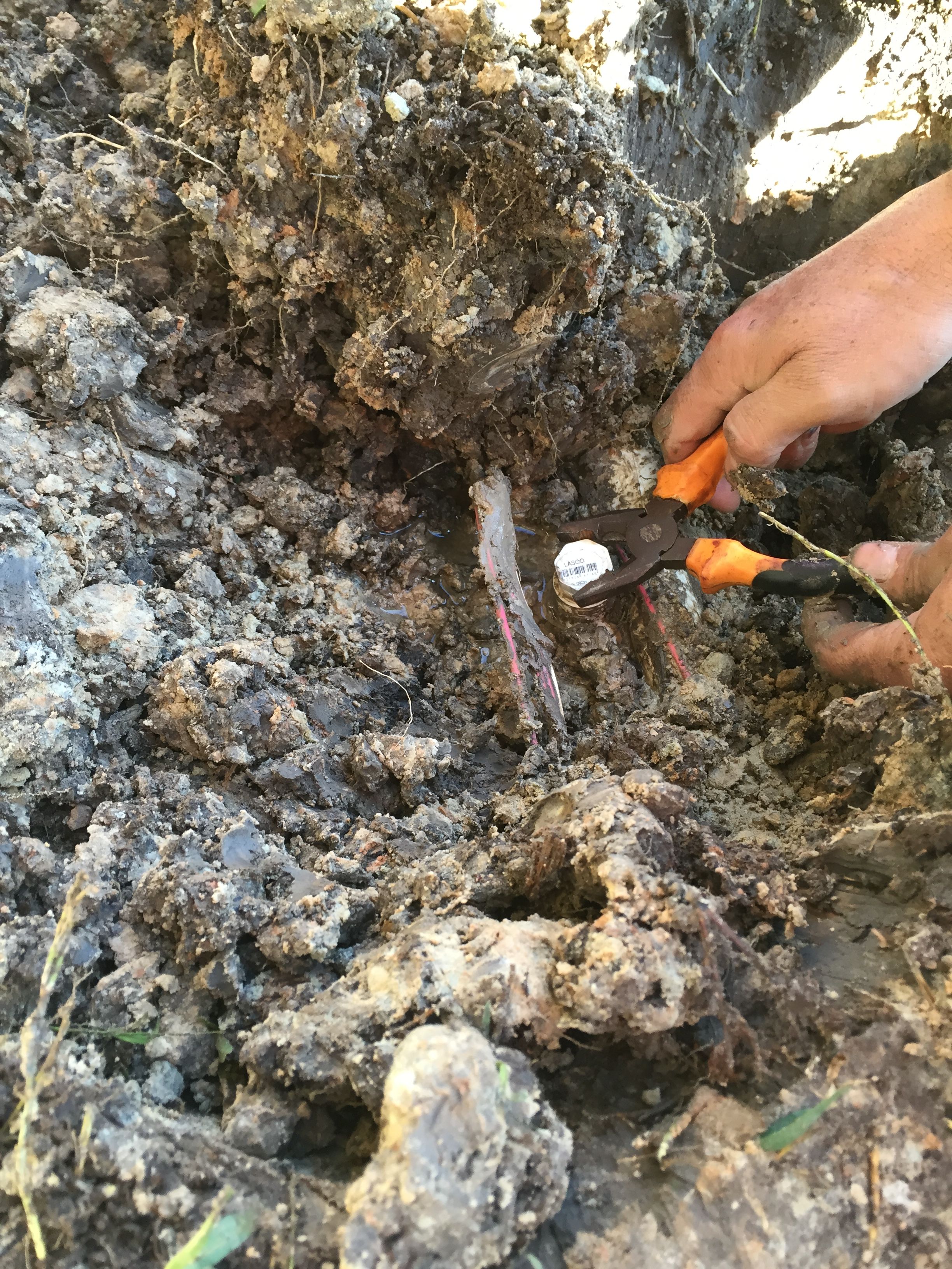  for Texas Curb N Borders in Houston, TX