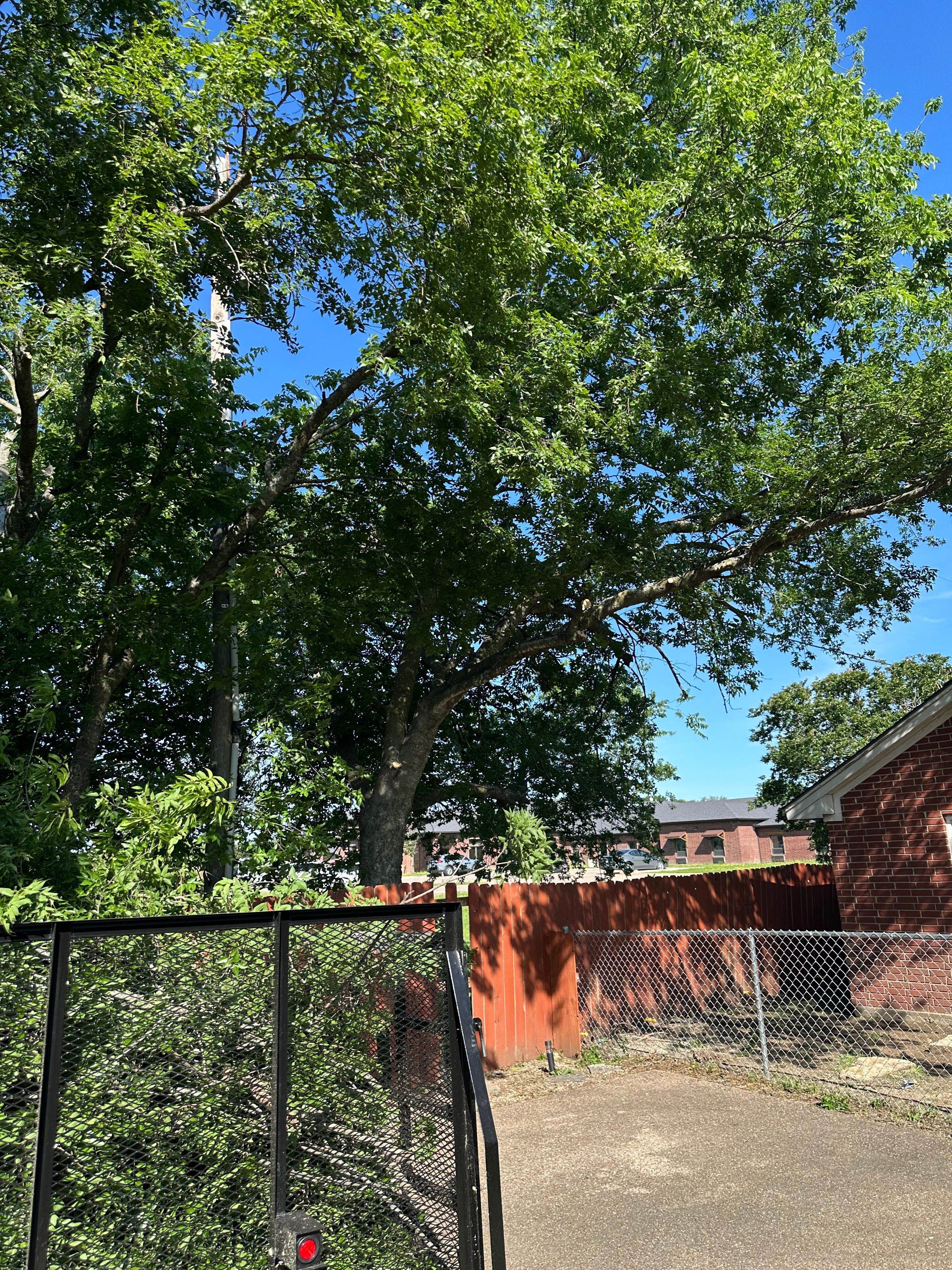  for Watson Lawn Care in Hillsboro, TX