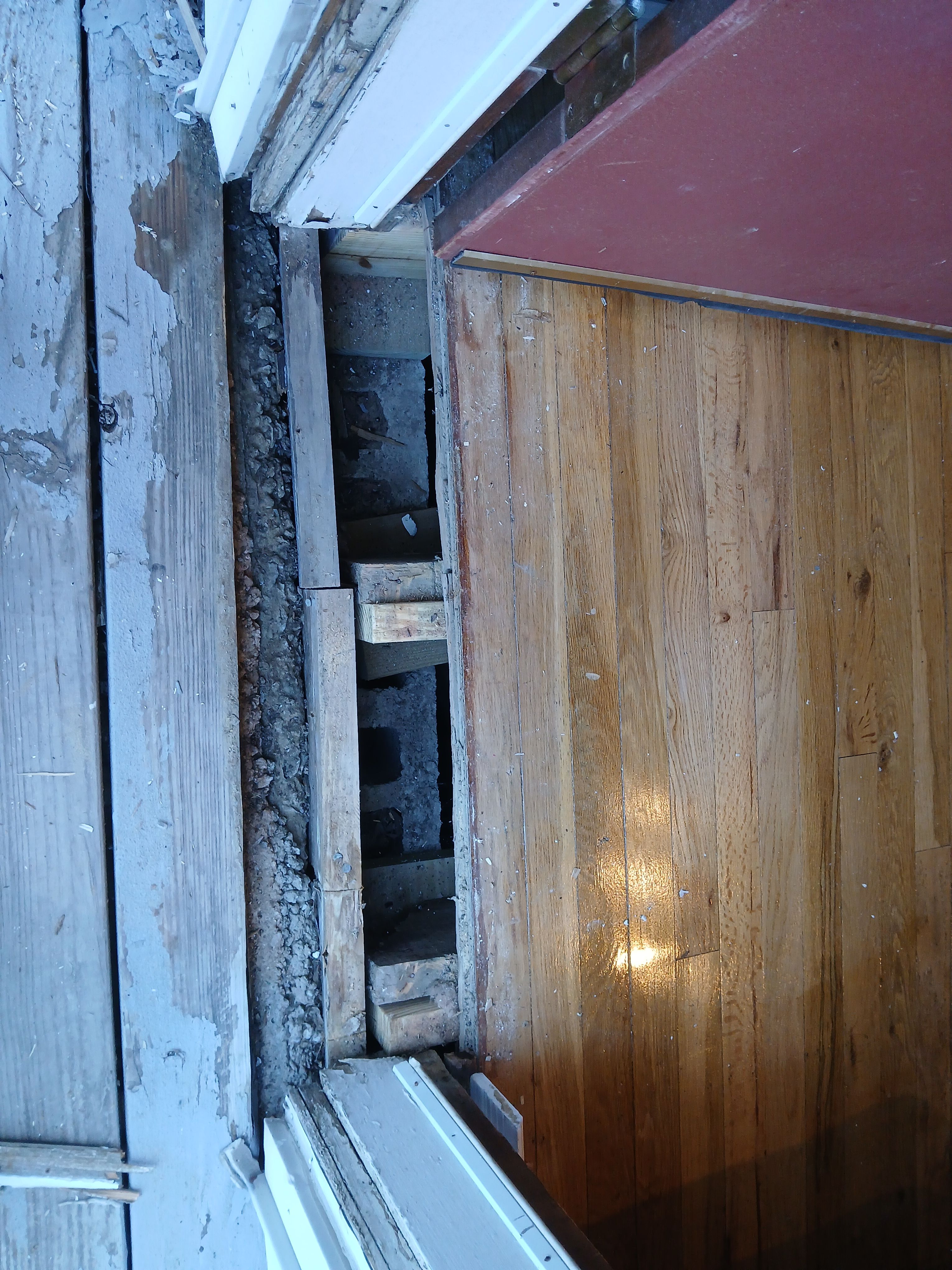  for Dead Tree General Contracting in Carbondale, Illinois