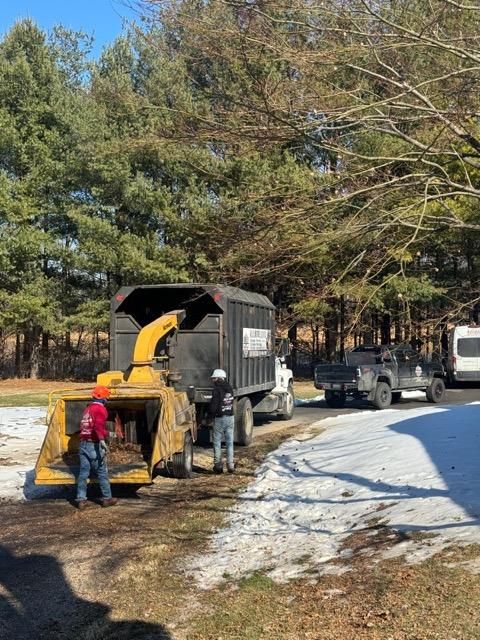  for Williams Tree Service LLC in Indianapolis, IN