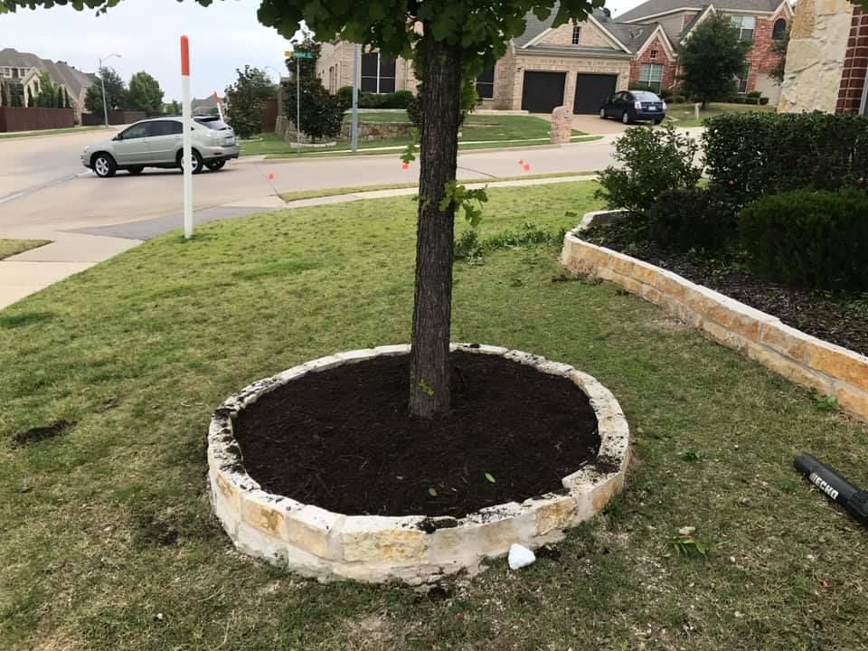  for Tree Valley Landscaping in Dallas, TX