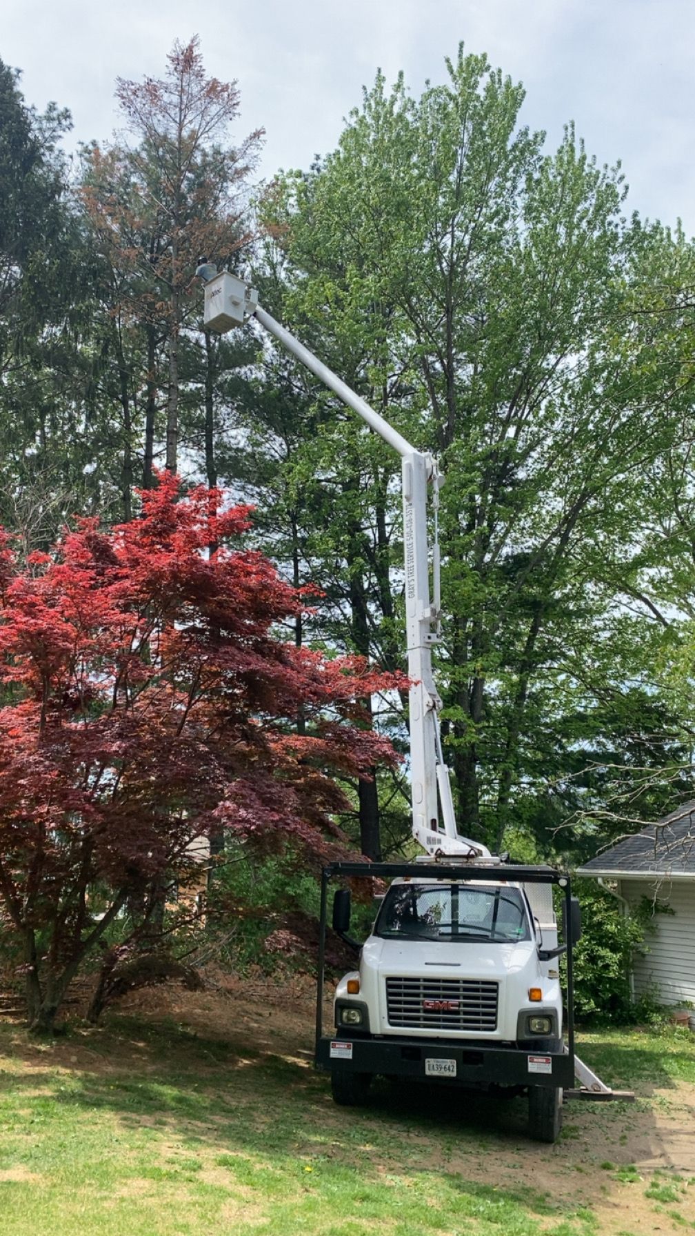 All Photos for Gray's Tree Service  in Shenandoah County, VA