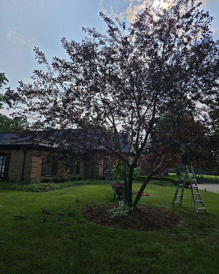  for Timber Ninja Service in Lexington, KY