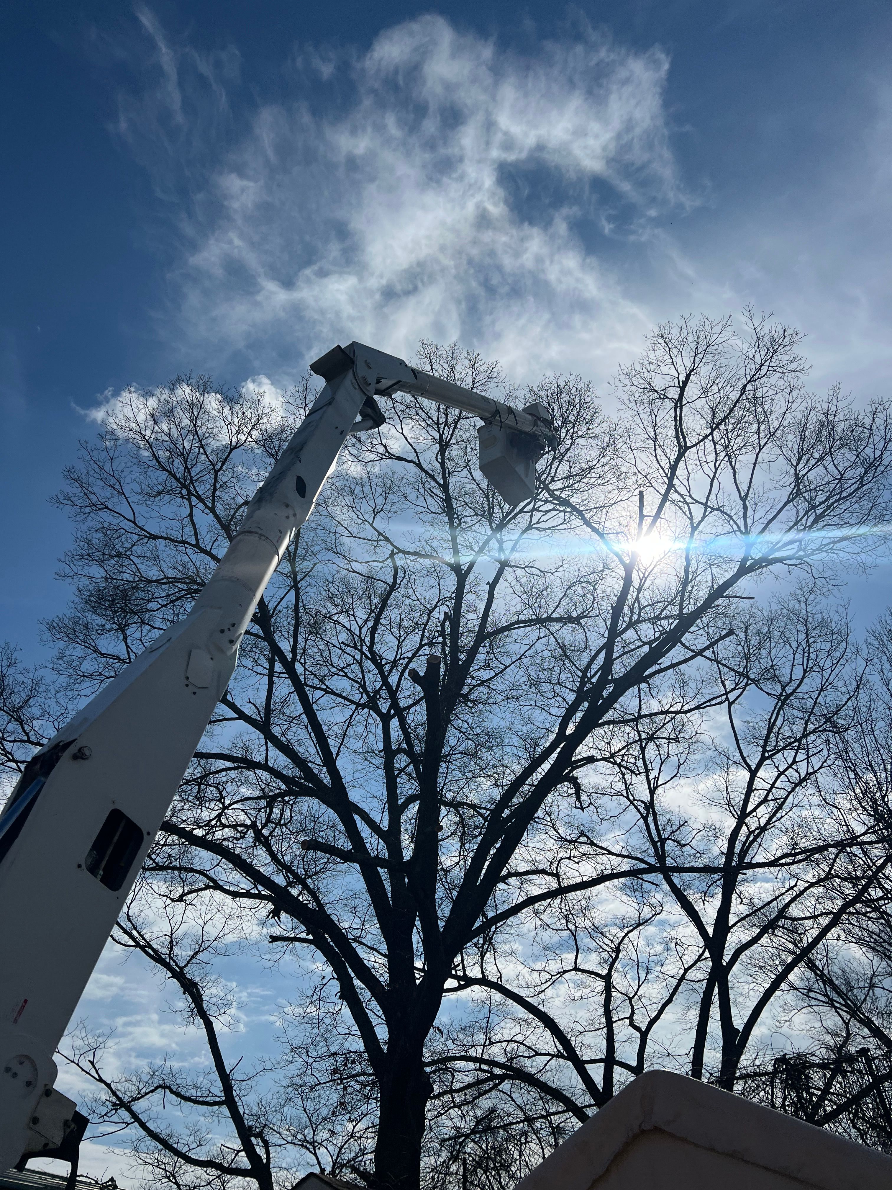  for Ground To Sky Tree Care in Asheville, North Carolina