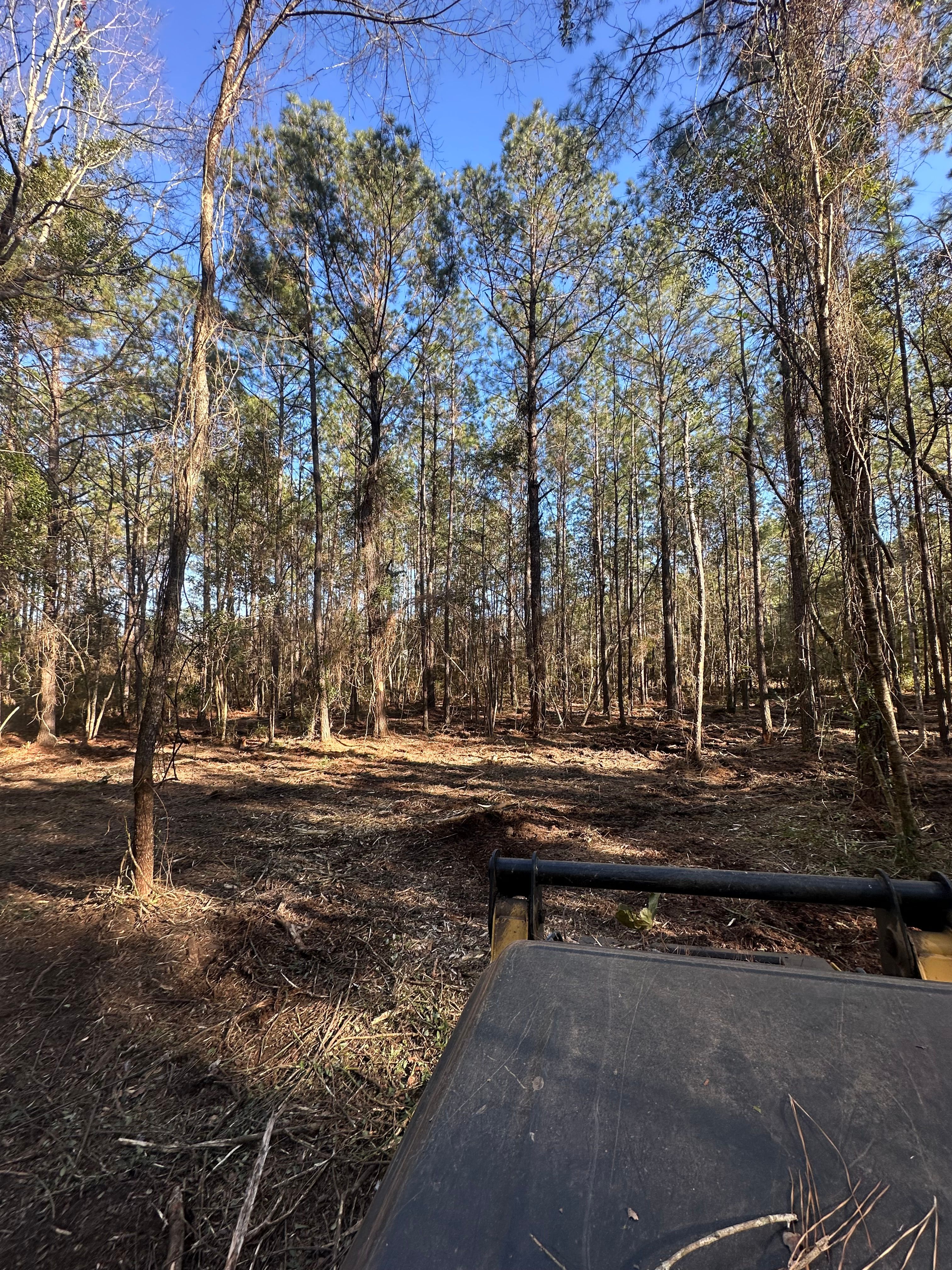  for Platinum Construction llc in Pearl River, MS