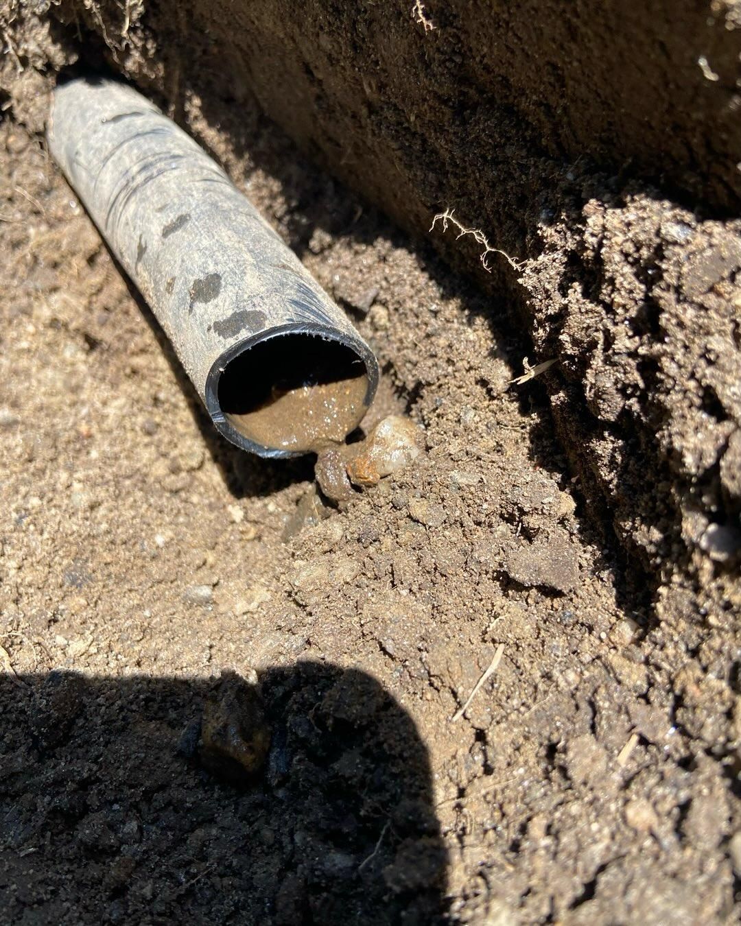  for F Carias Irrigation Specialist INC in Southborough, MA