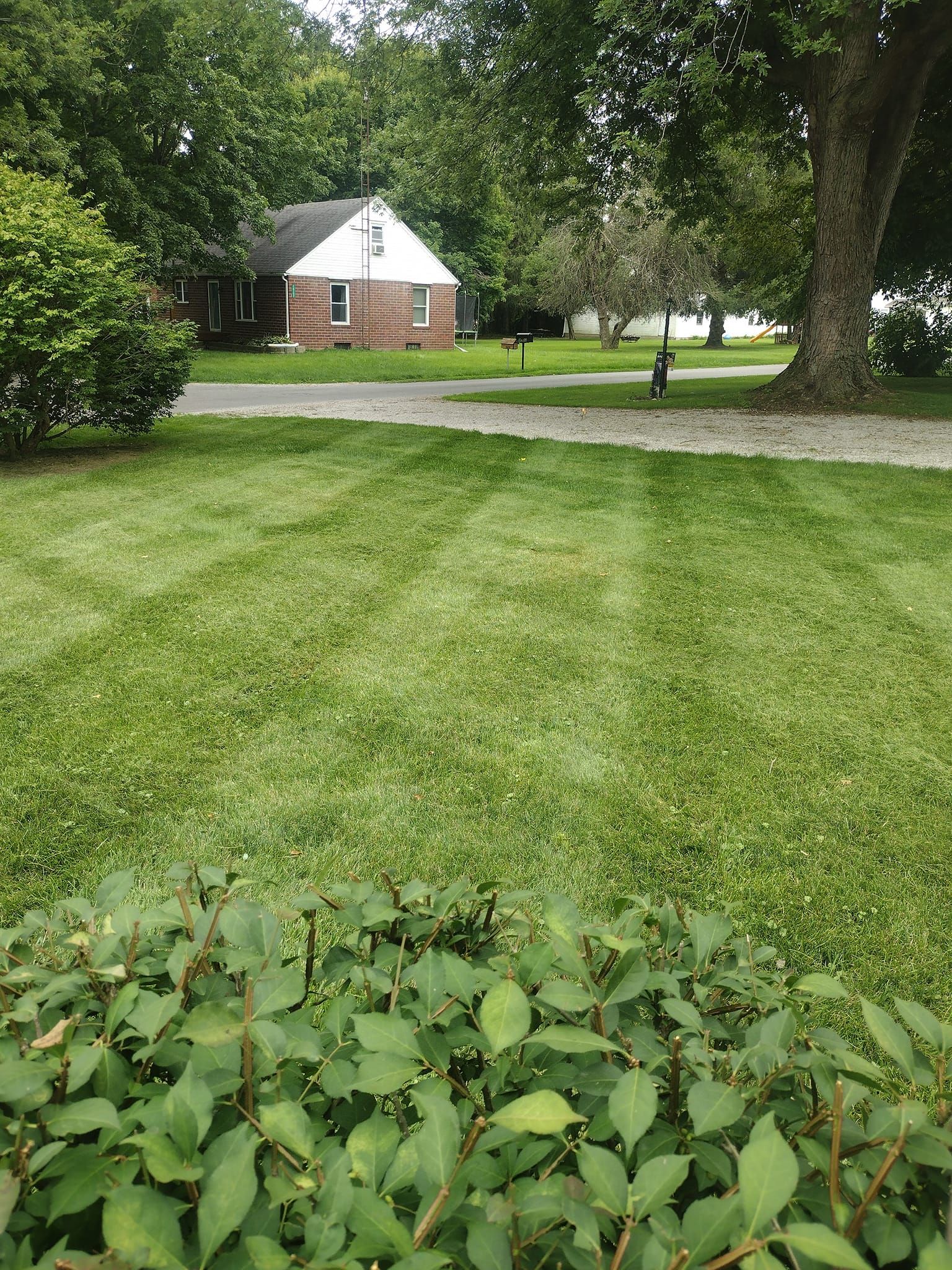  for R&M Lawn Control in Defiance, OH