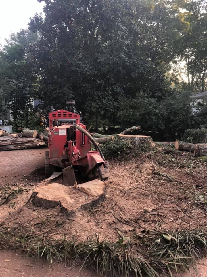  for Falcon stump grinding Tree services in Loganville, GA