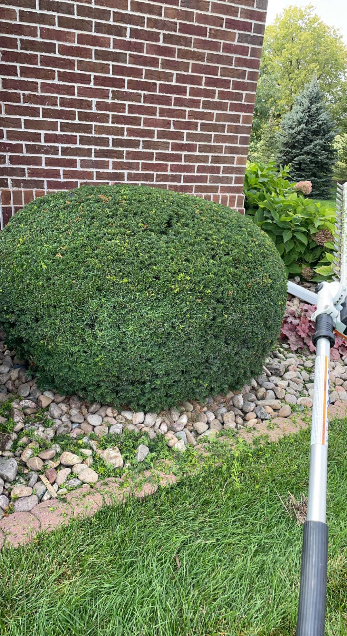  for Jacks Lawn & Landscape LLC  in Hastings, NE
