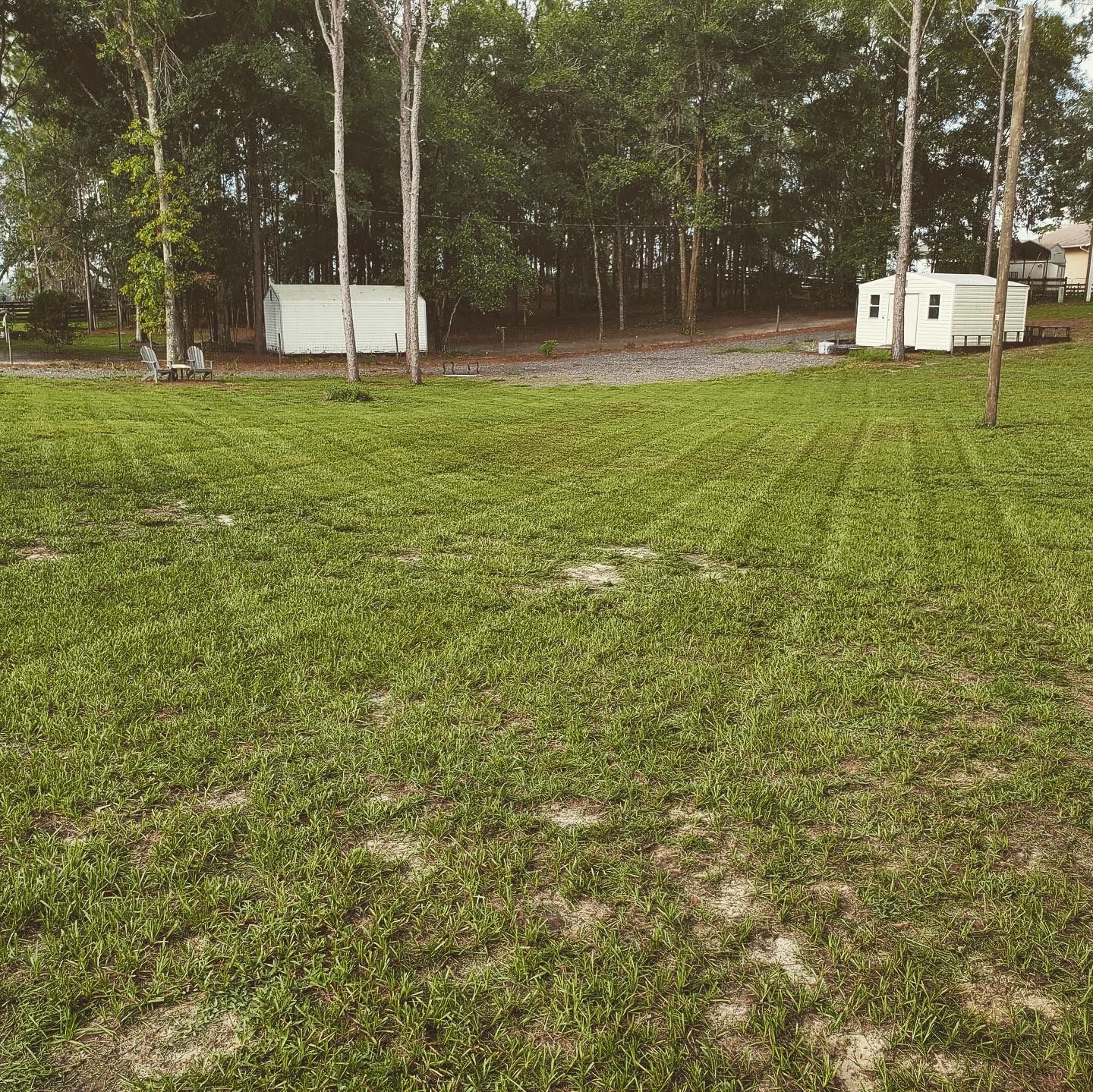  for Village Lawn Services LLC in Lake Panasoffkee, FL