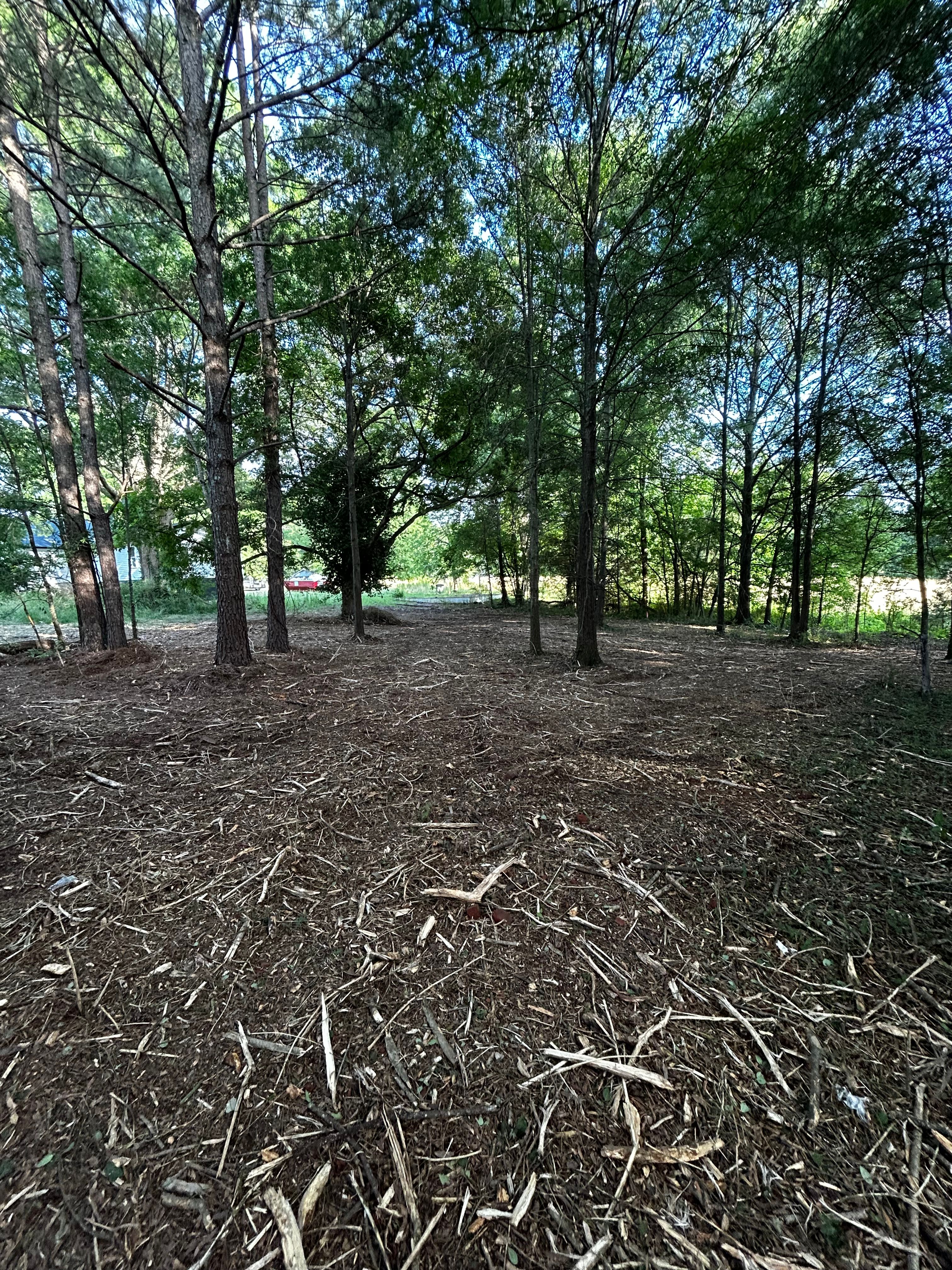  for JA Clearing  in Pageland, SC