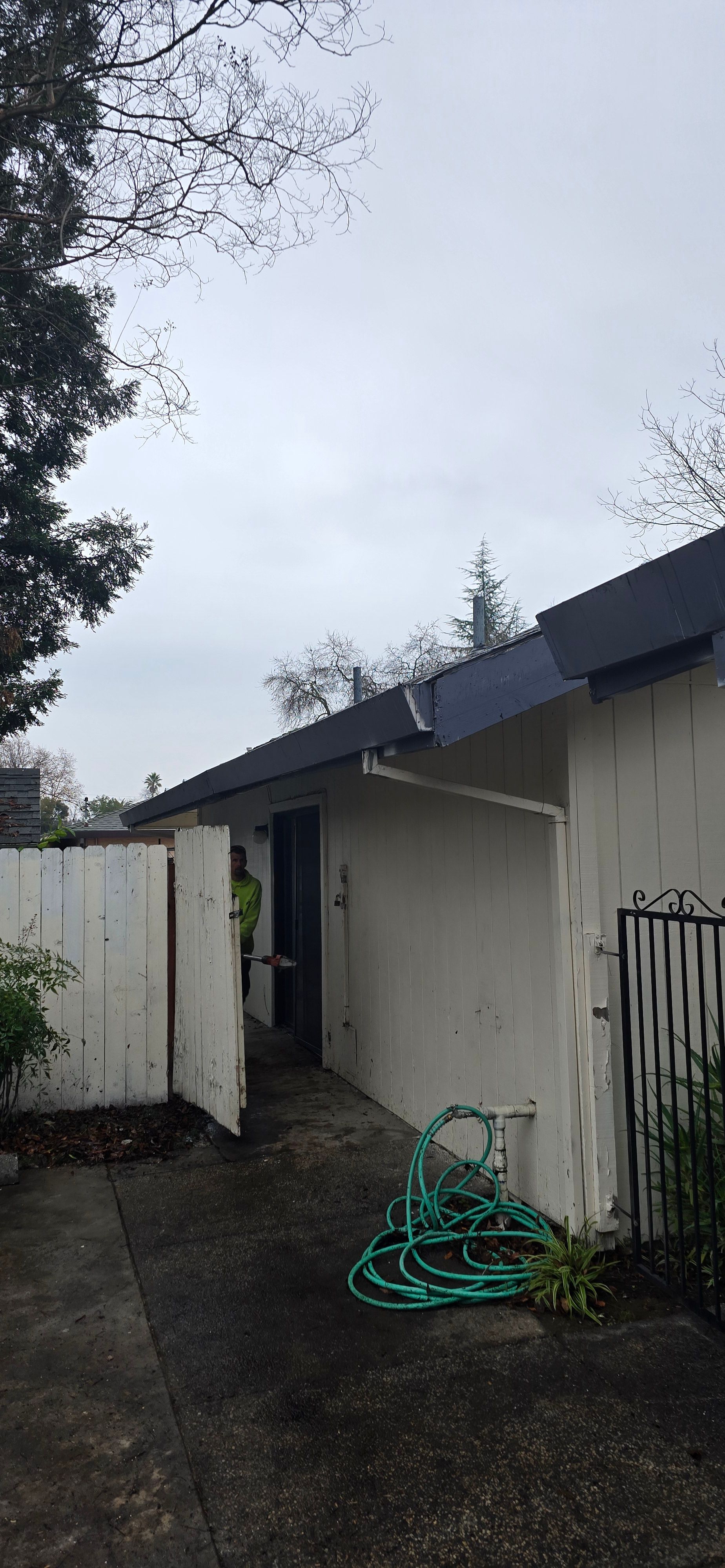  for George Staddan's Professional Tree Care in Placerville, CA