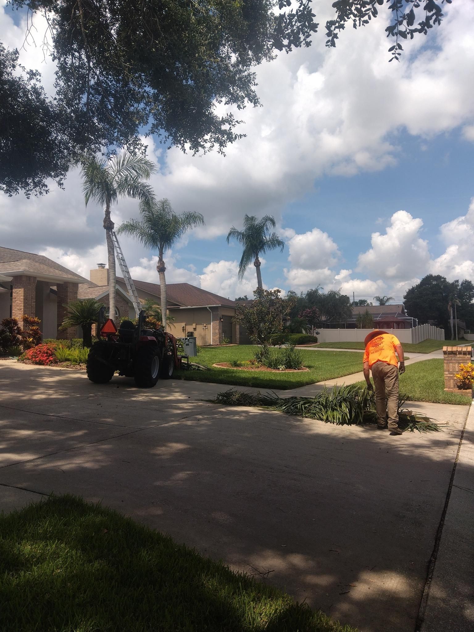  for Bills Tree Service in Valrico, FL