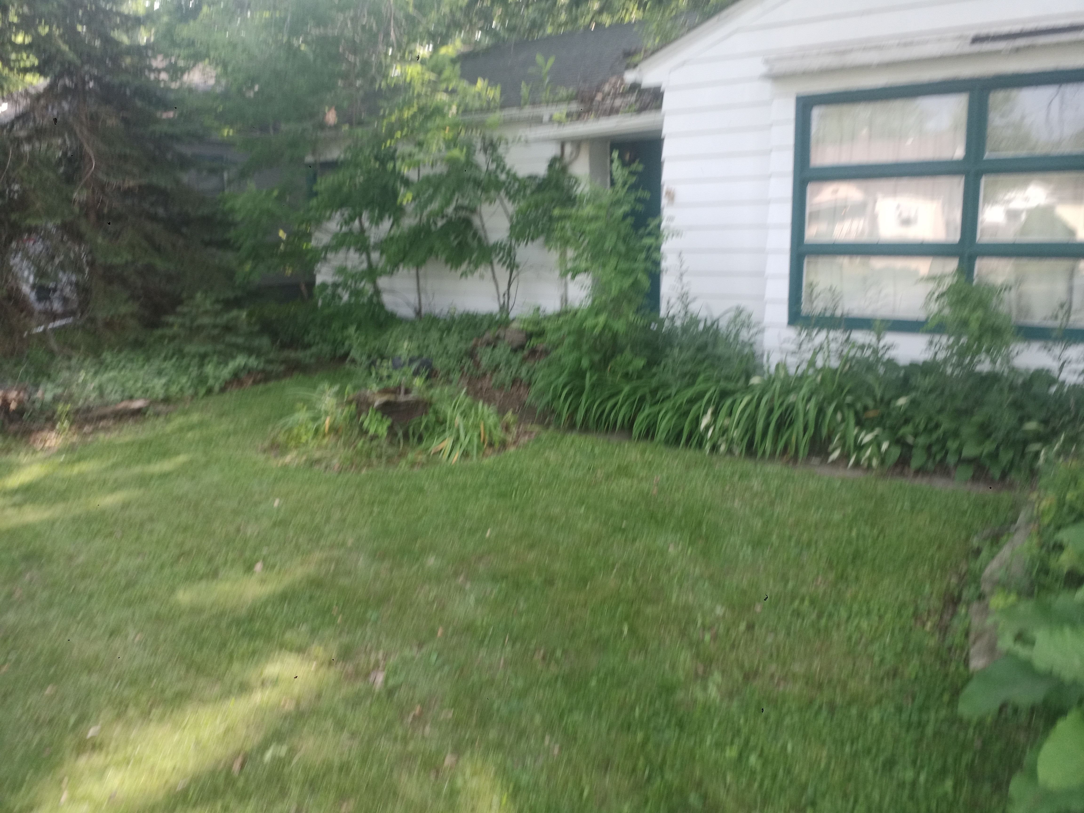 All Photos for Hendricks Mowing in Amherst, OH