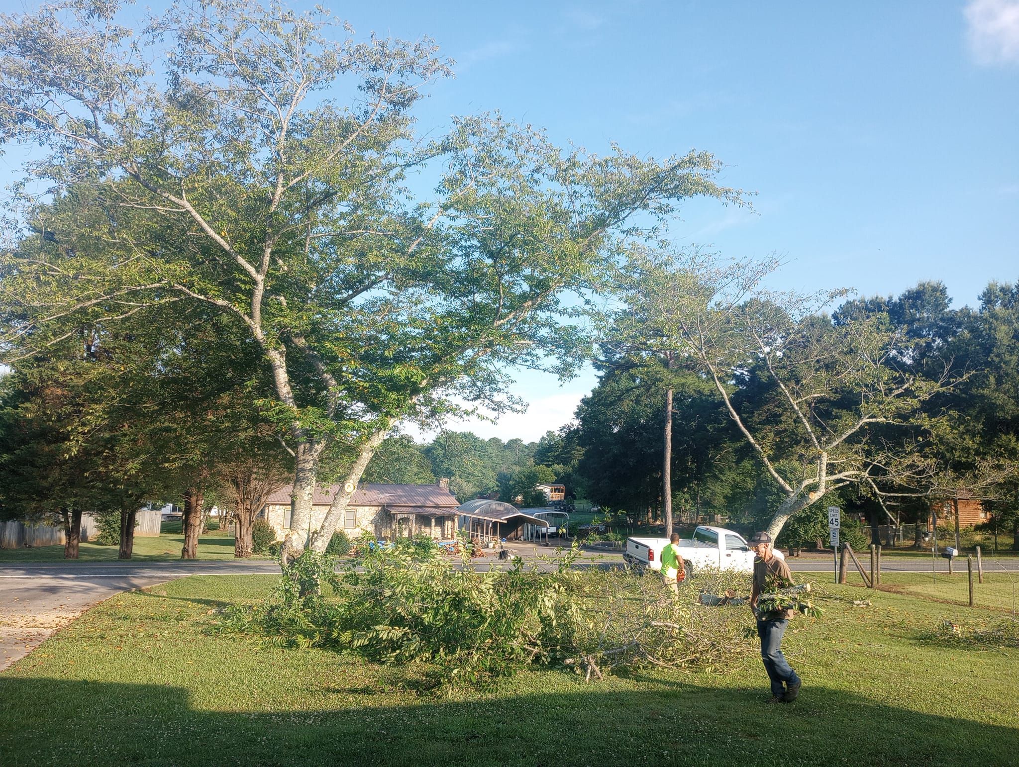  for Backwoods Tree Experts in Hickory, NC