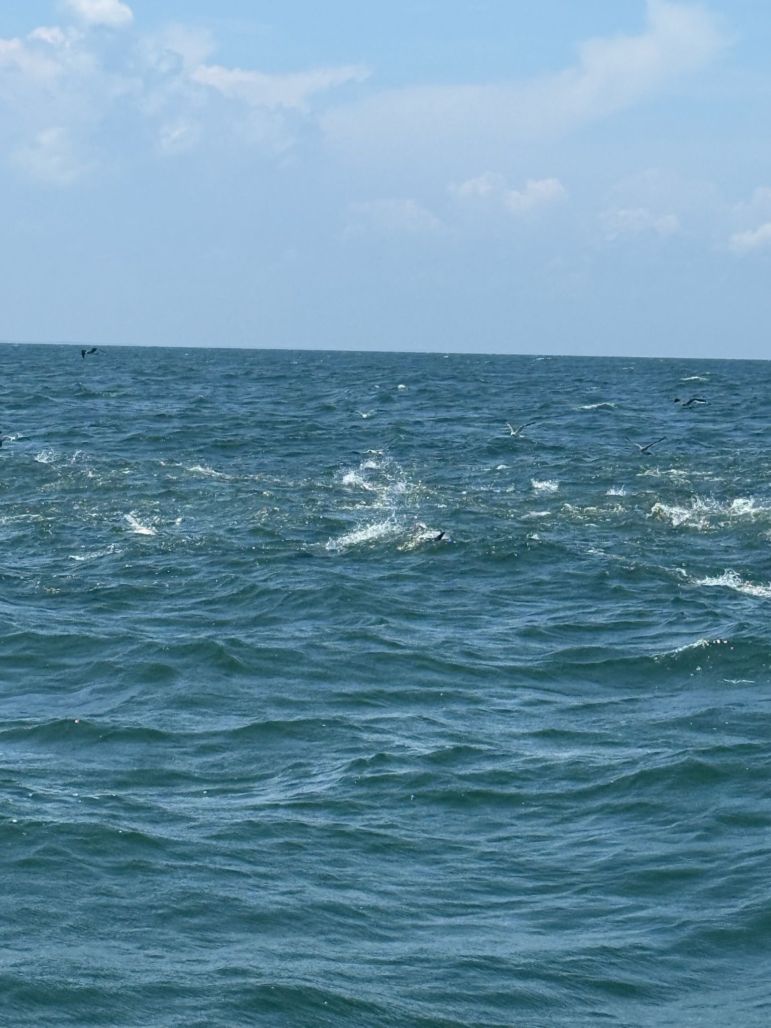 All Photos for LegaSea Construction in Kilmarnock, VA