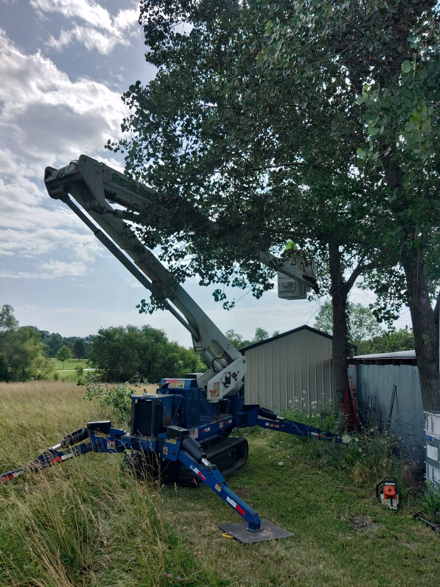  for Mitchell Tree Company in Lathrop, MO