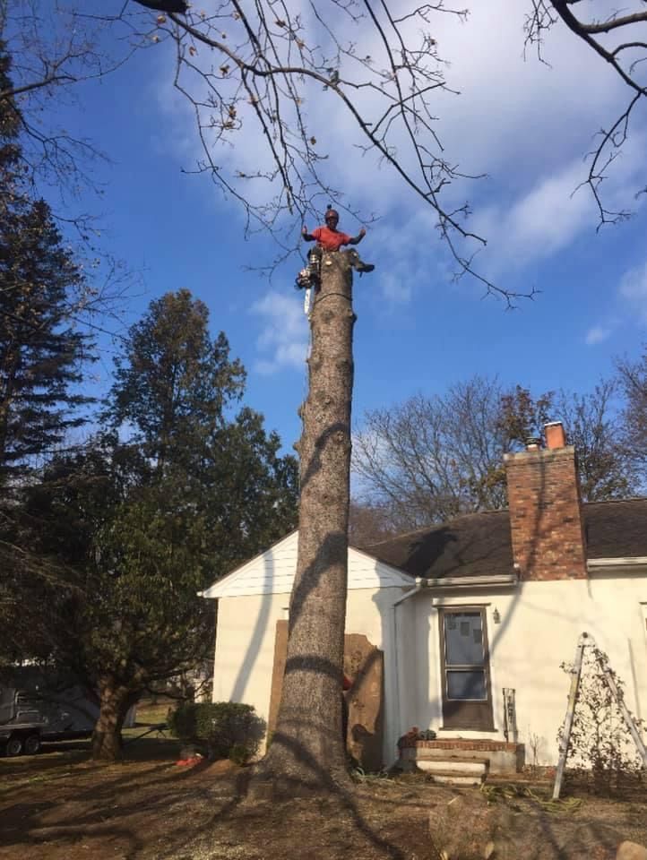  for S.H. Tree Service LLC in Hilton, NY